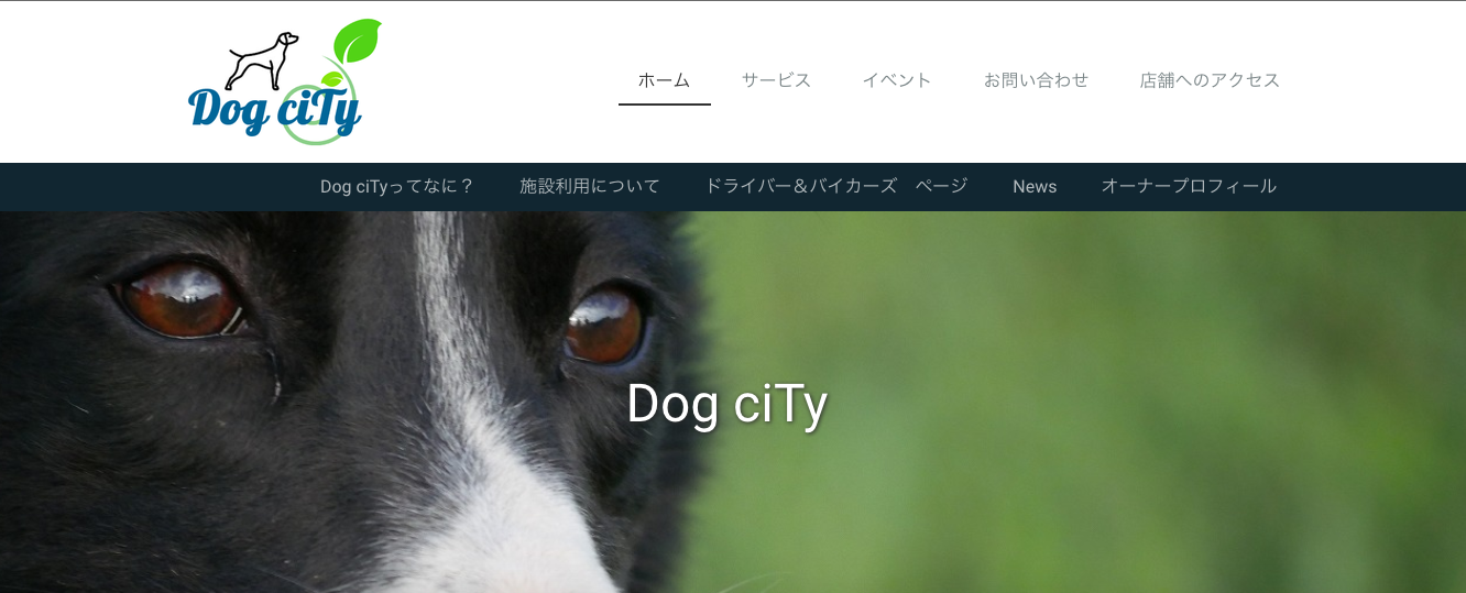 【関西】〜愛犬と寒くても楽しめるスポットまとめ〜室内ドッグラン・温泉・温水プール