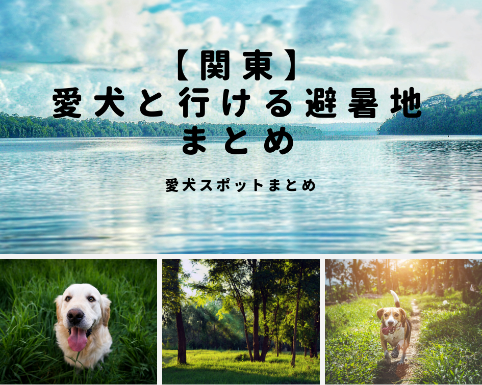 【関東】「愛犬と行ける避暑地まとめ」