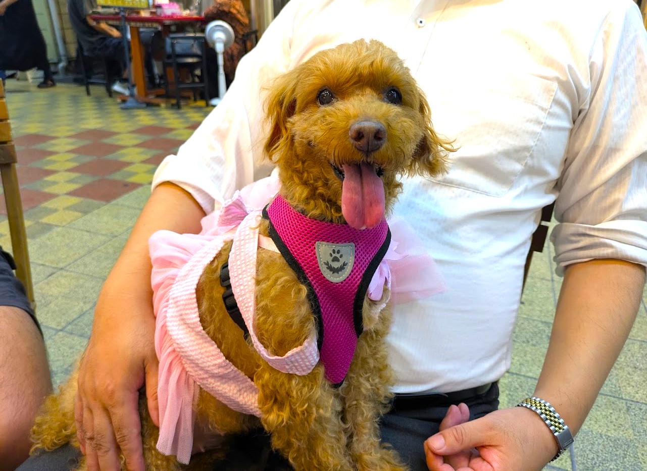 Pizzeria Asso da yamagichi