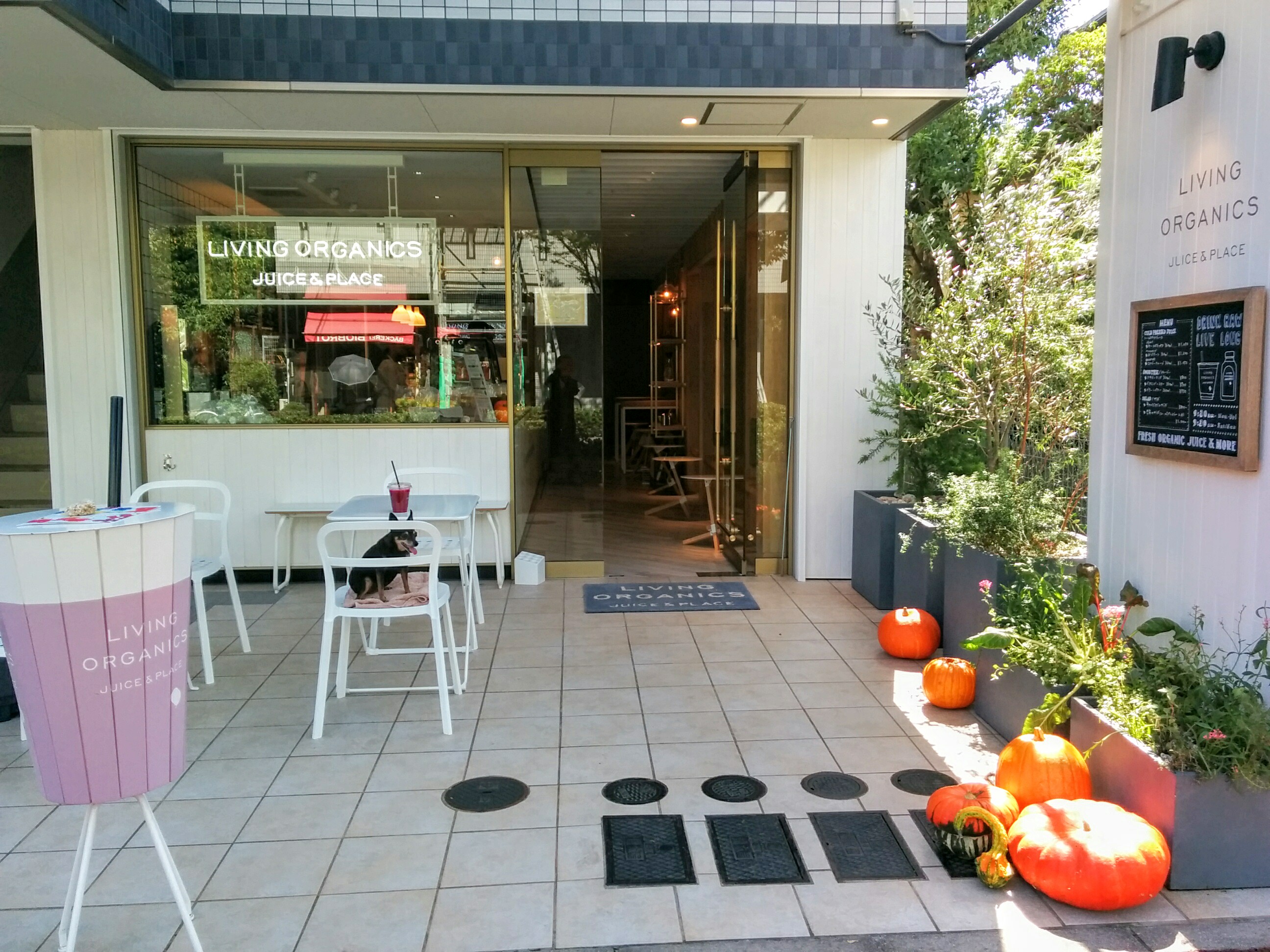 LIVINGORGANICSJUICE&PLACE(リビングオーガニックス