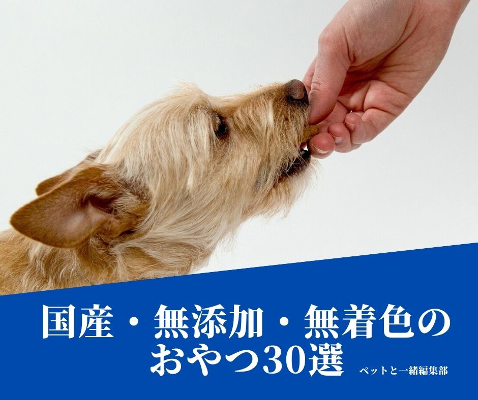 むー 様専用 犬の無添加おやつ 最新・限定 mundoconstructor.com.ec