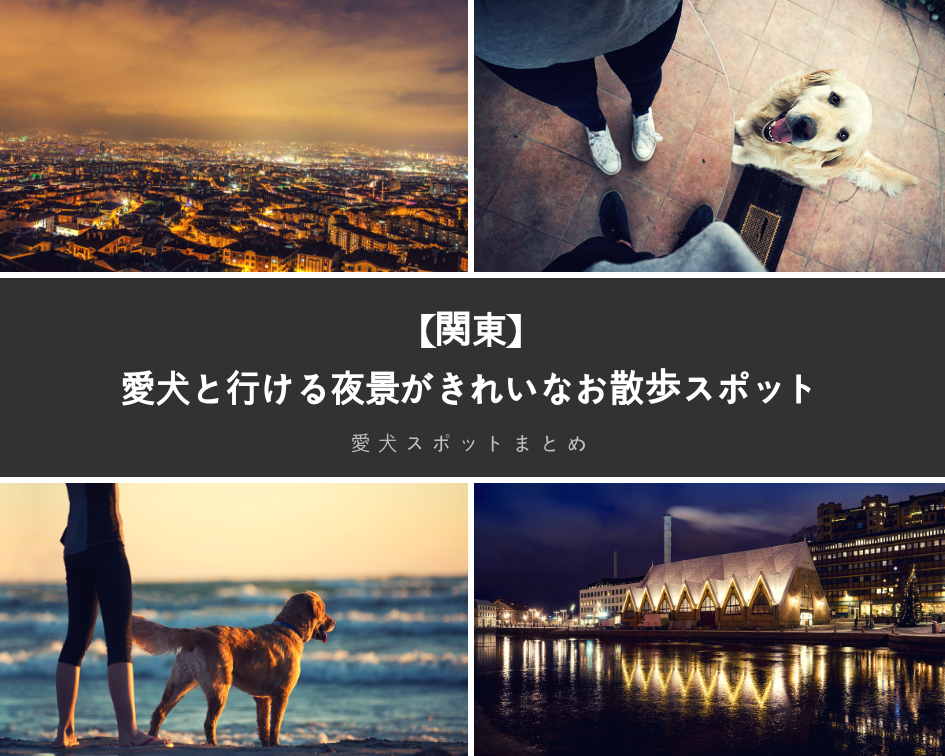 【関東】愛犬と行ける夜景がきれいなお散歩スポット
