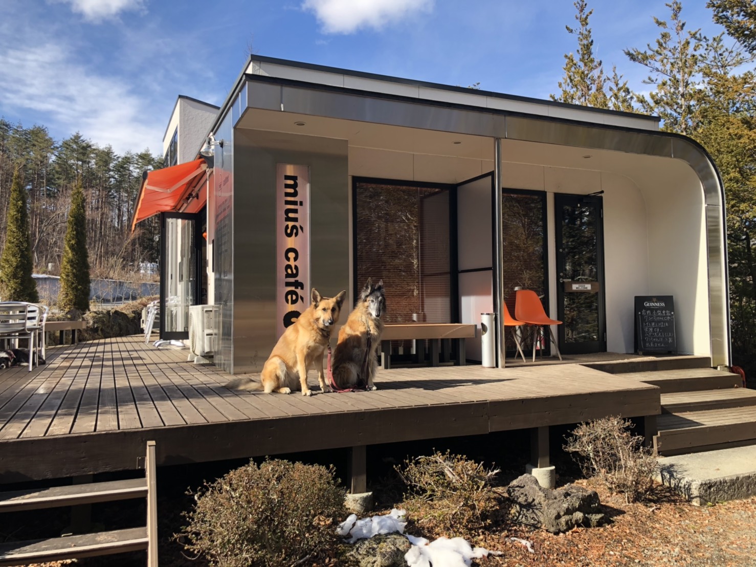 河口湖 Miu S Cafe ミウズカフェ 富士山に近い森の中に佇むカフェ ペット 犬同伴可 山梨県南都留郡 ペットと一緒