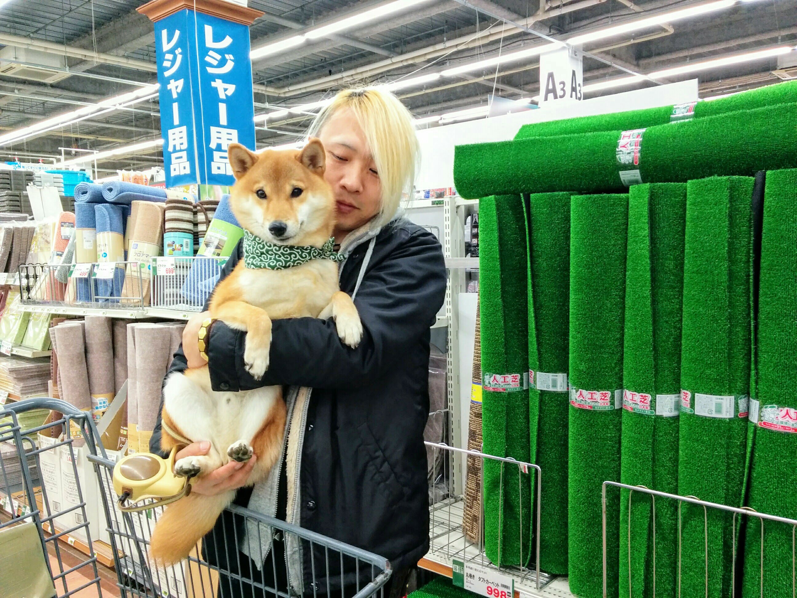 駒ヶ林駅 ホームセンターアグロガーデン神戸駒ヶ林店 気兼ねなく愛犬とゆっくりお買い物ができる ペット 犬同伴可 兵庫県神戸市 ペットと一緒