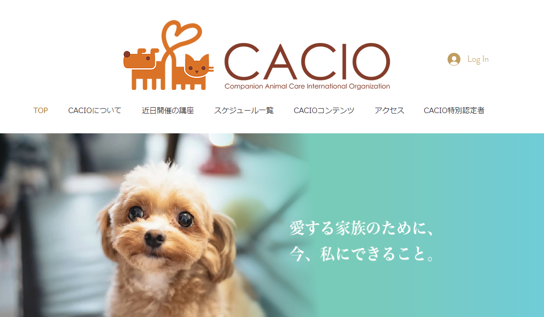 CACIO動物経絡温灸取扱者育成講座