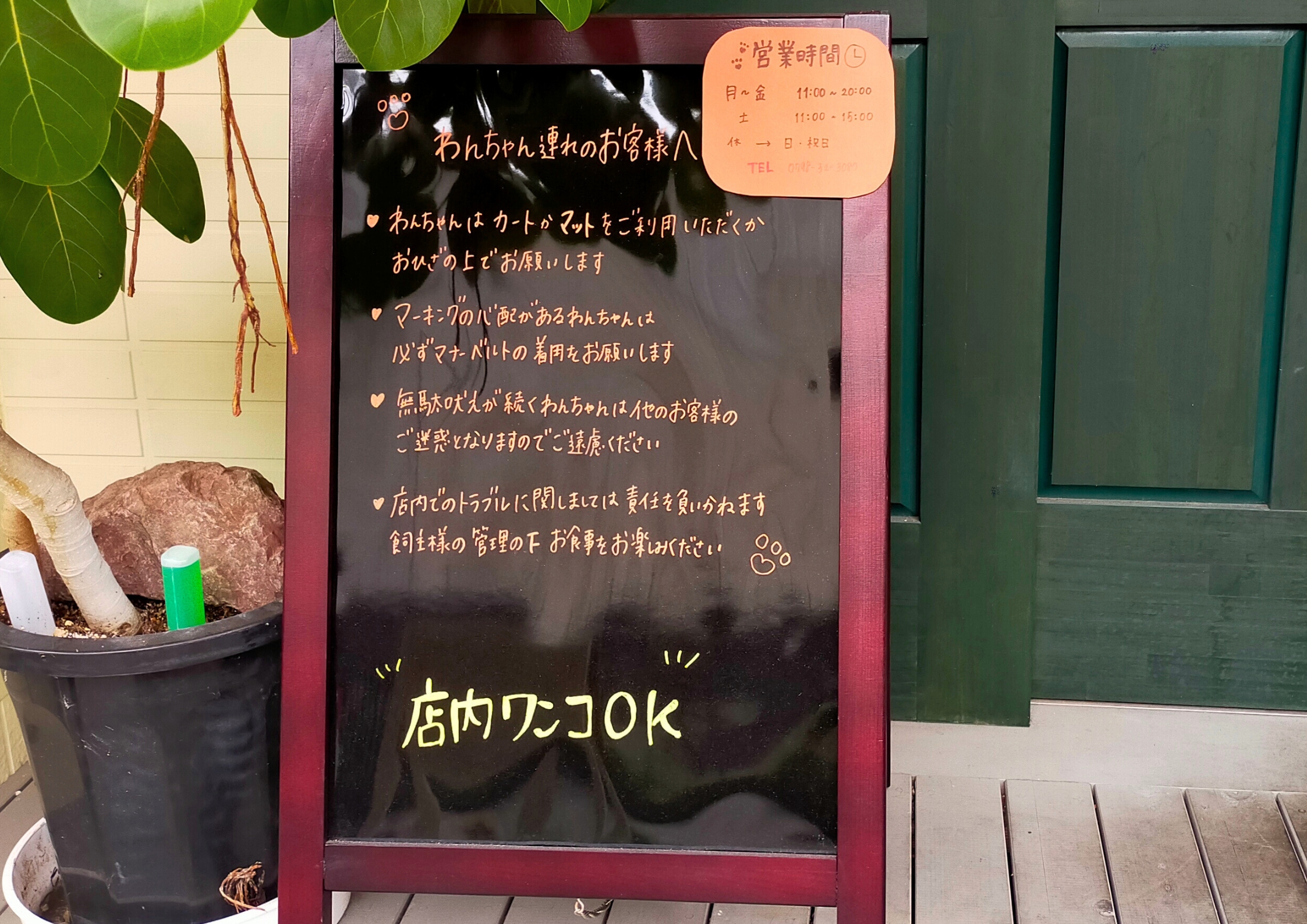 渡眞璃木