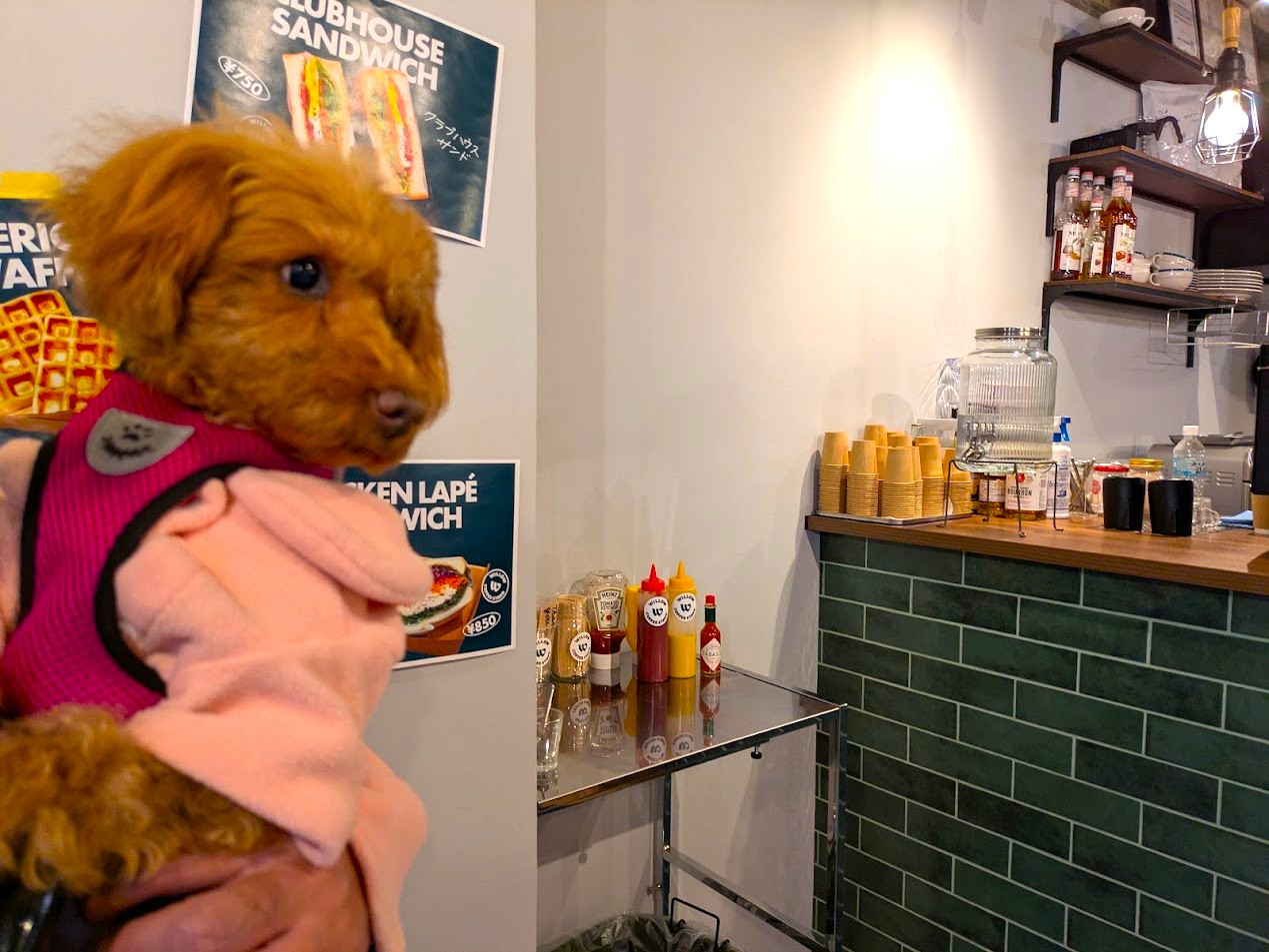 ウィローコーヒースタンド