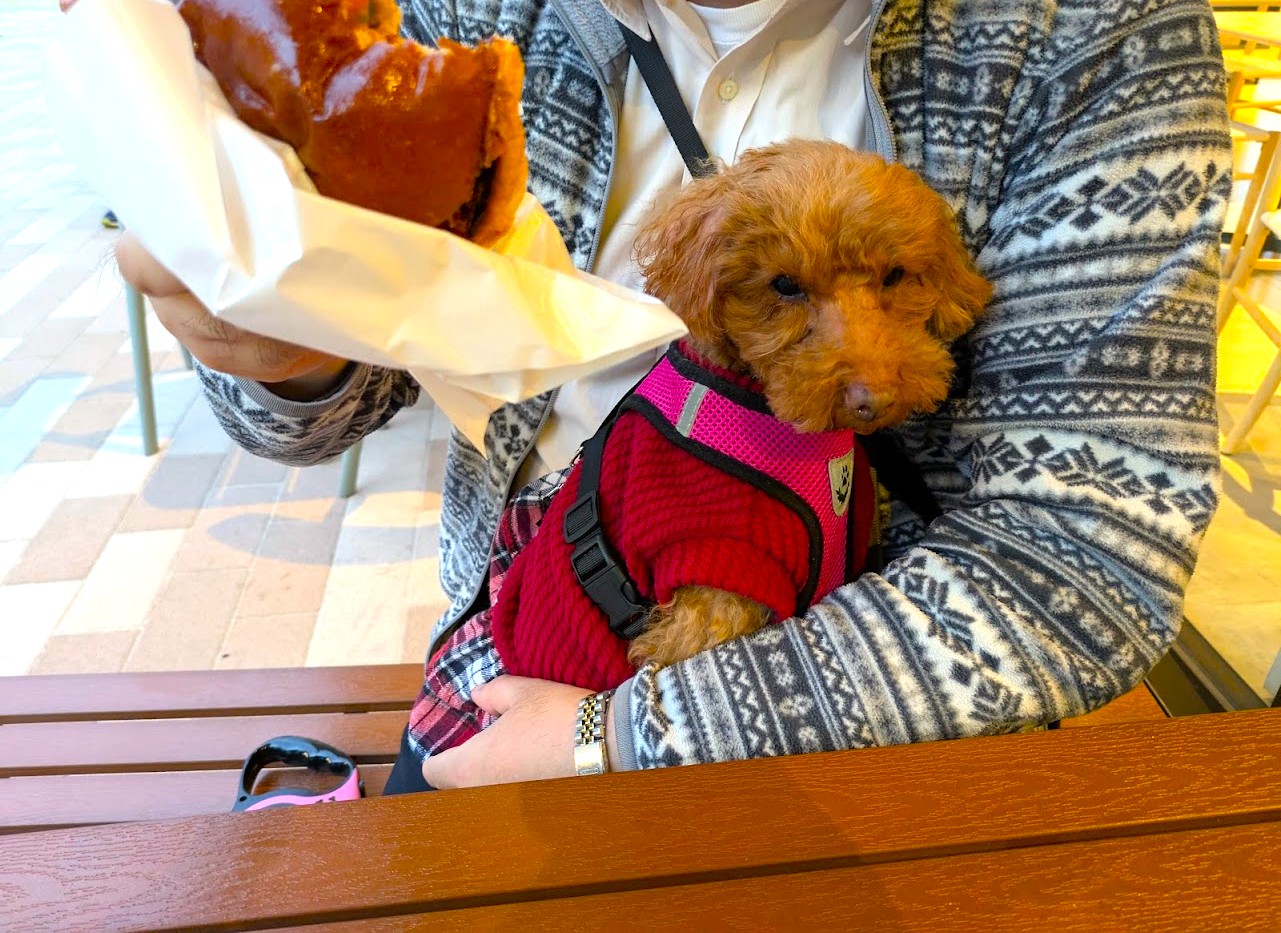 クラフトバーガーなノにわ
