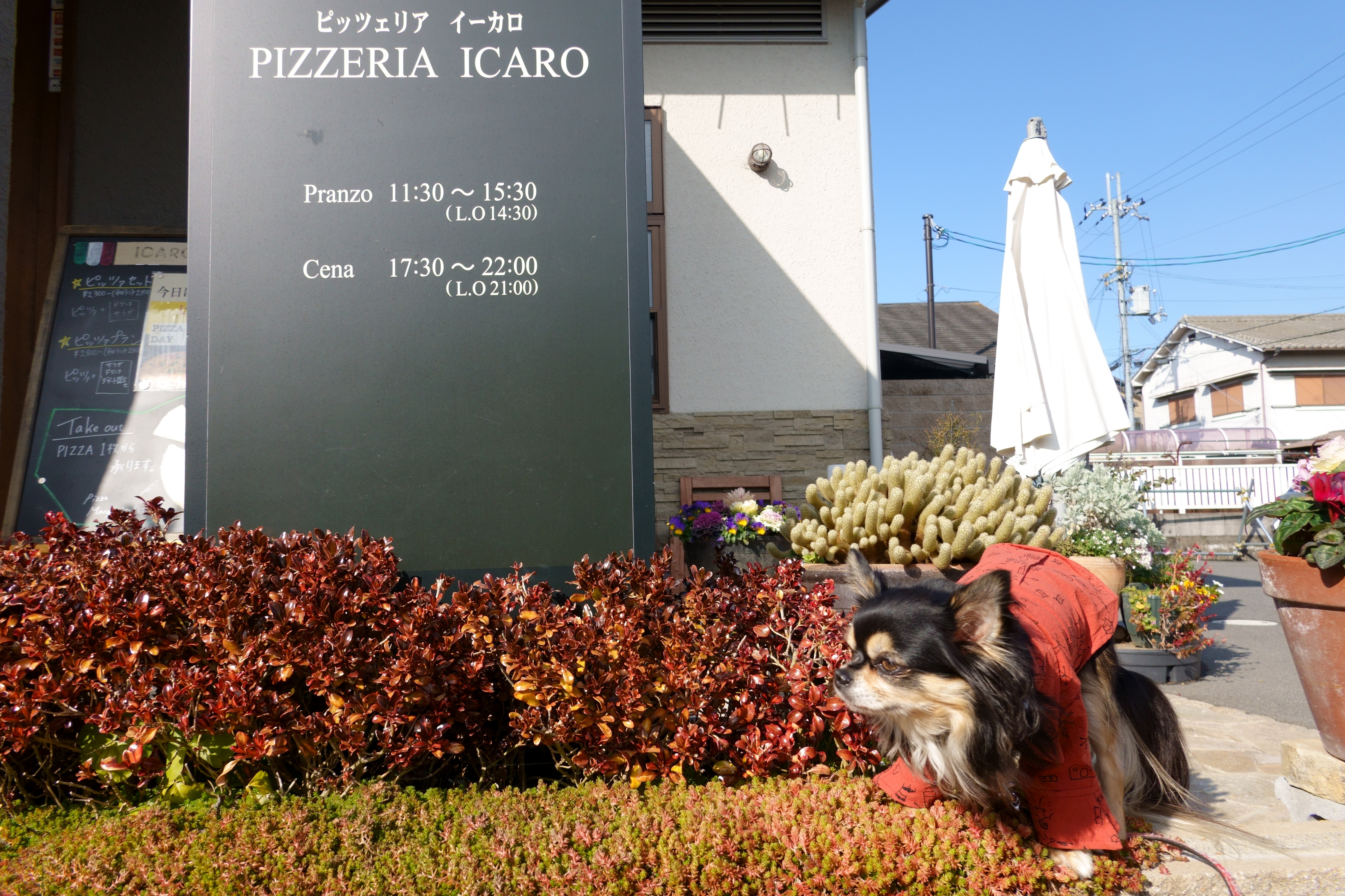 PIZZERIA ICARO(ピッツェリア イーカロ)