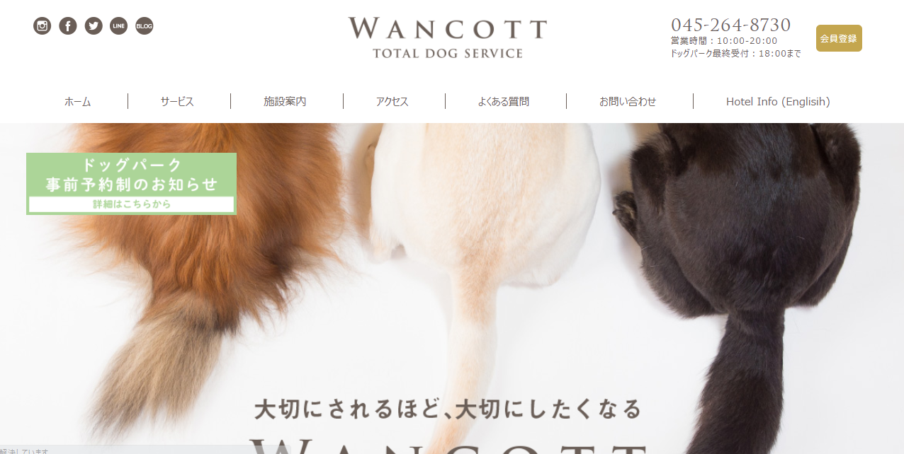 WANCOTTアジリティ開放DAY