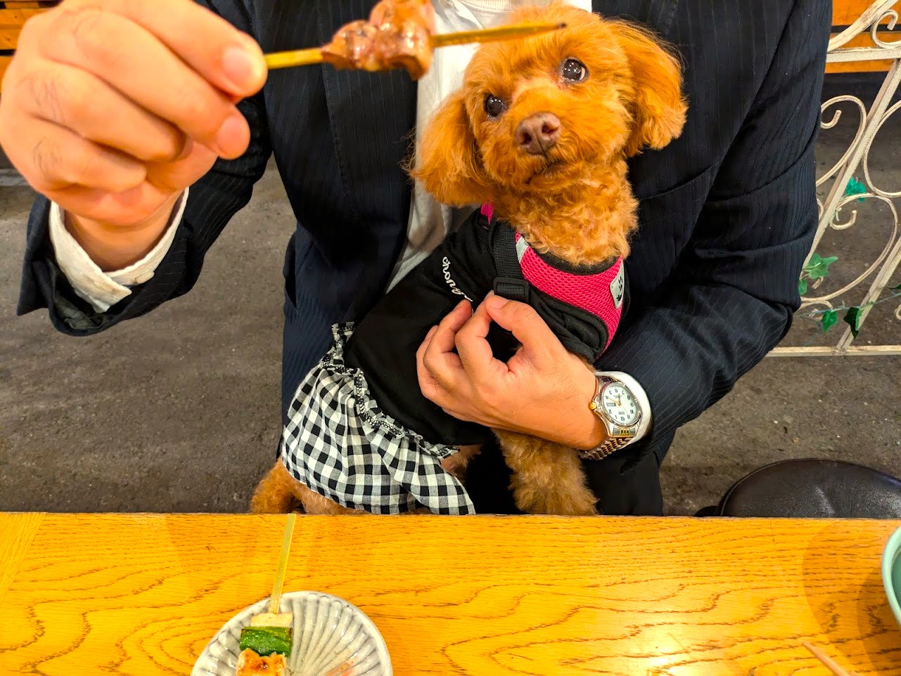 焼き鳥クカバラ