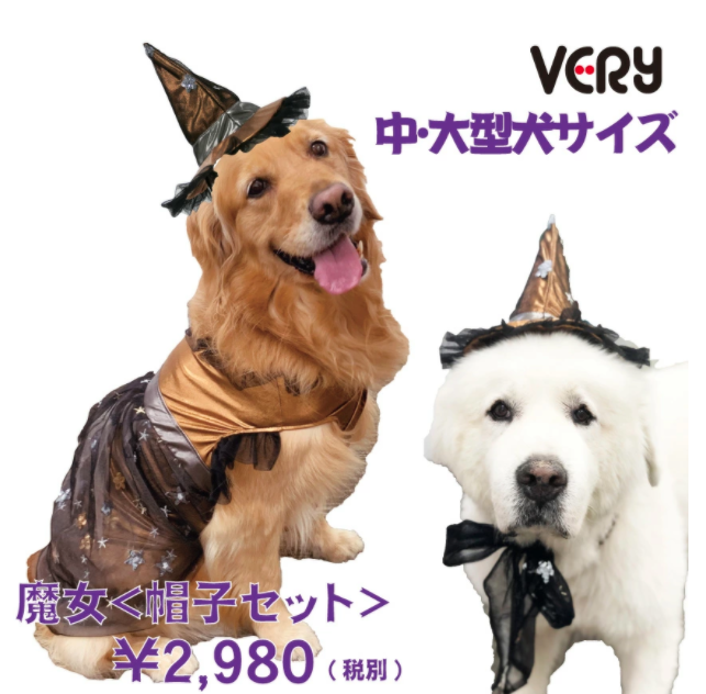 「愛犬とおうちでハロウィンを楽しもう!」ペットと一緒編集部