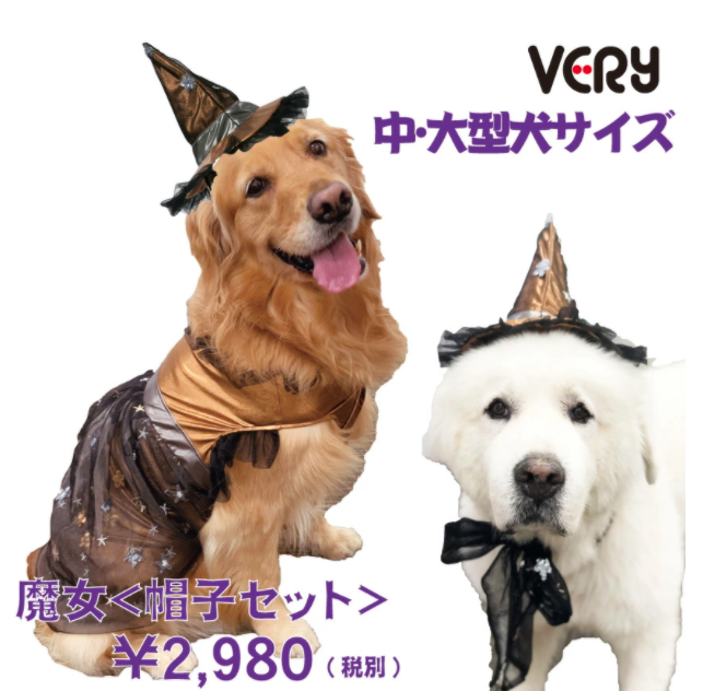 「愛犬とおうちでハロウィンを楽しもう！」ペットと一緒編集部