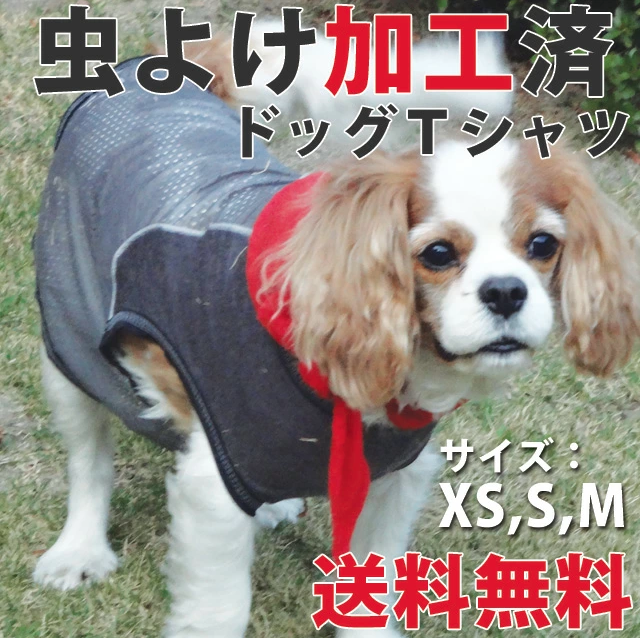 犬用虫除けグッズ5選【ペットと一緒編集部】