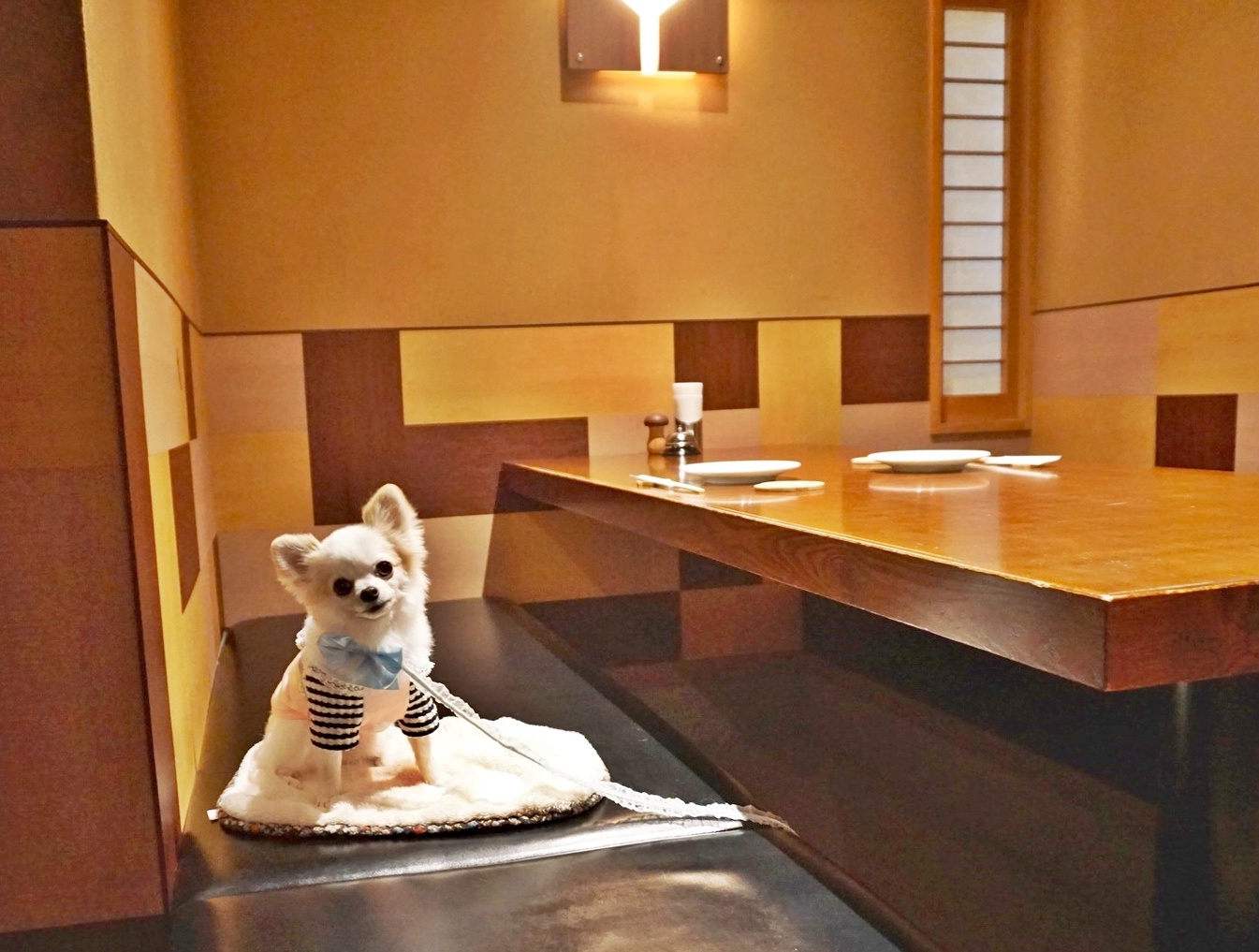 【関東】「大型犬も一緒に入れるお店」東京23区 Part1