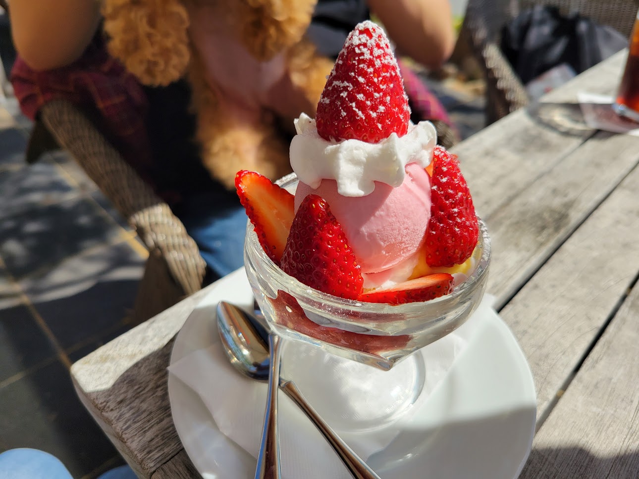 オランダ屋 富雄店