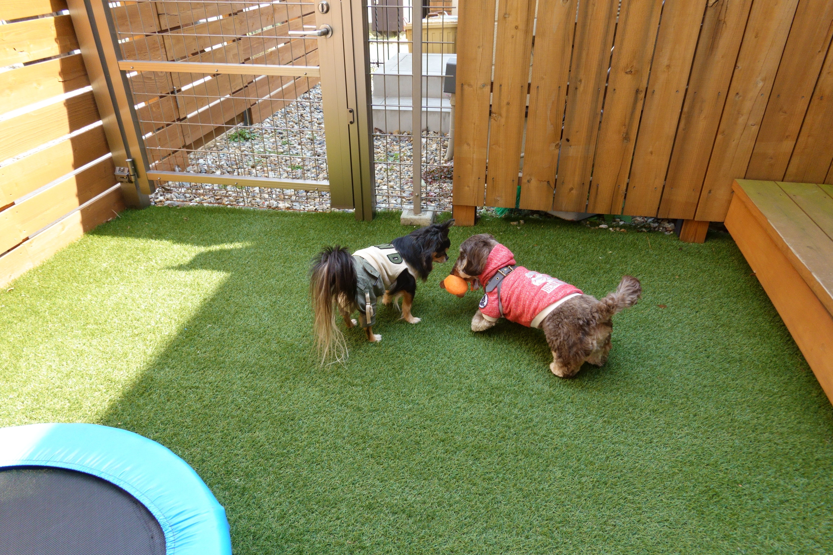 Dogcafe&salon