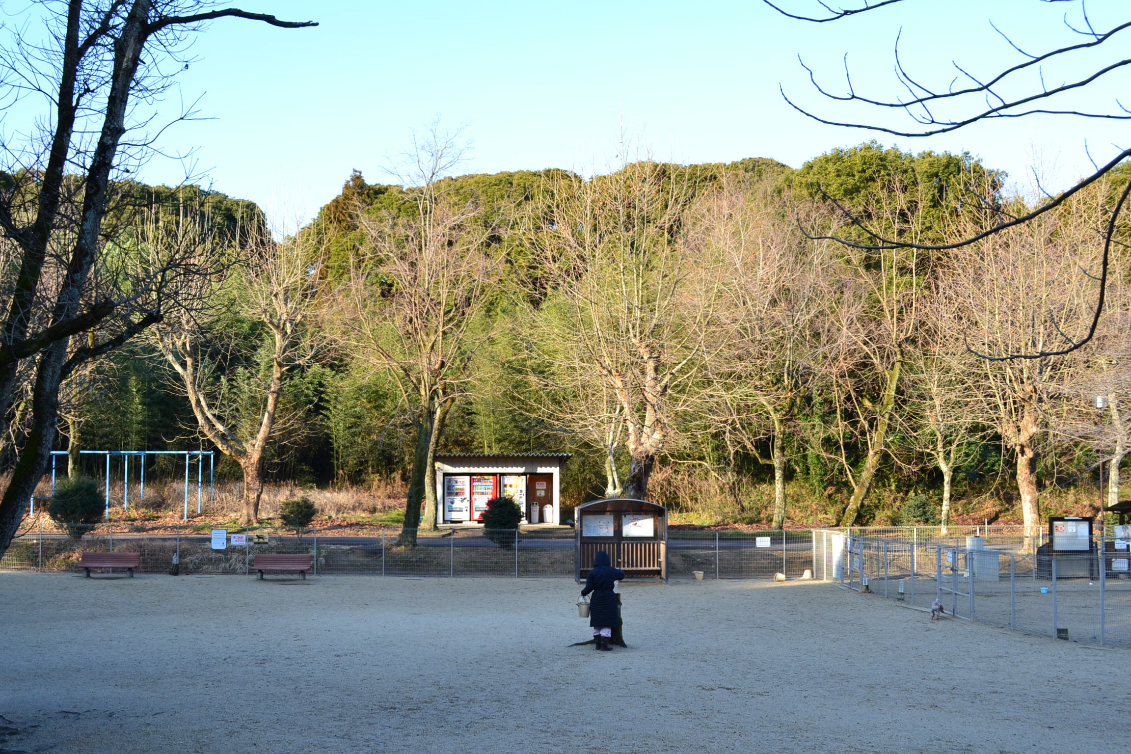 大高緑地ドッグラン