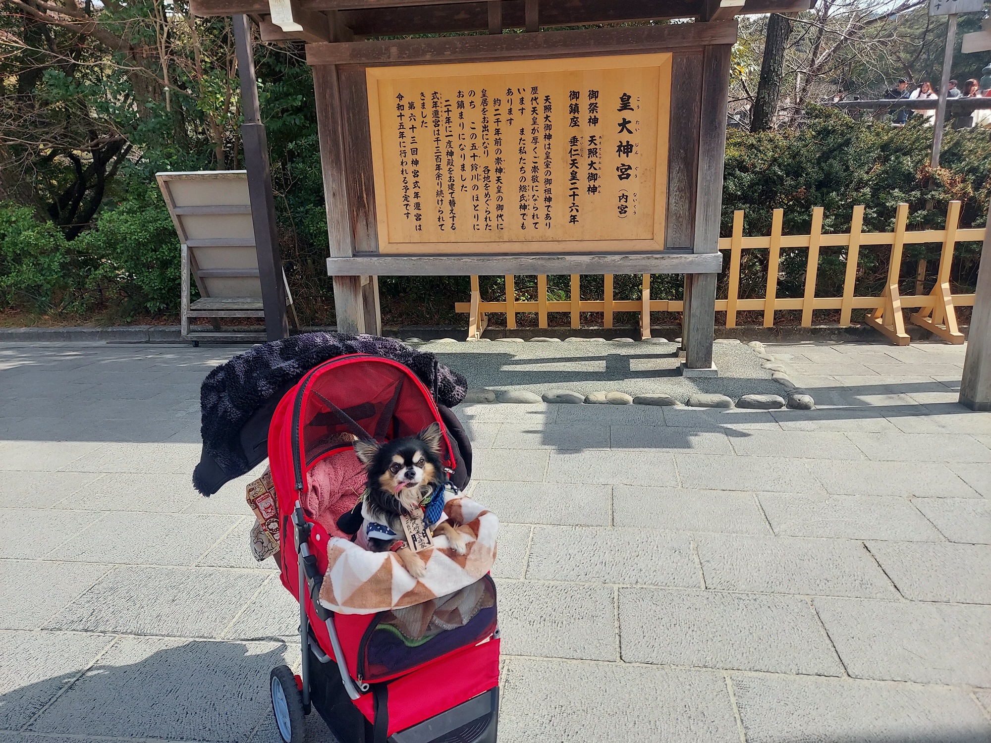愛犬参加型 おかげ犬体験