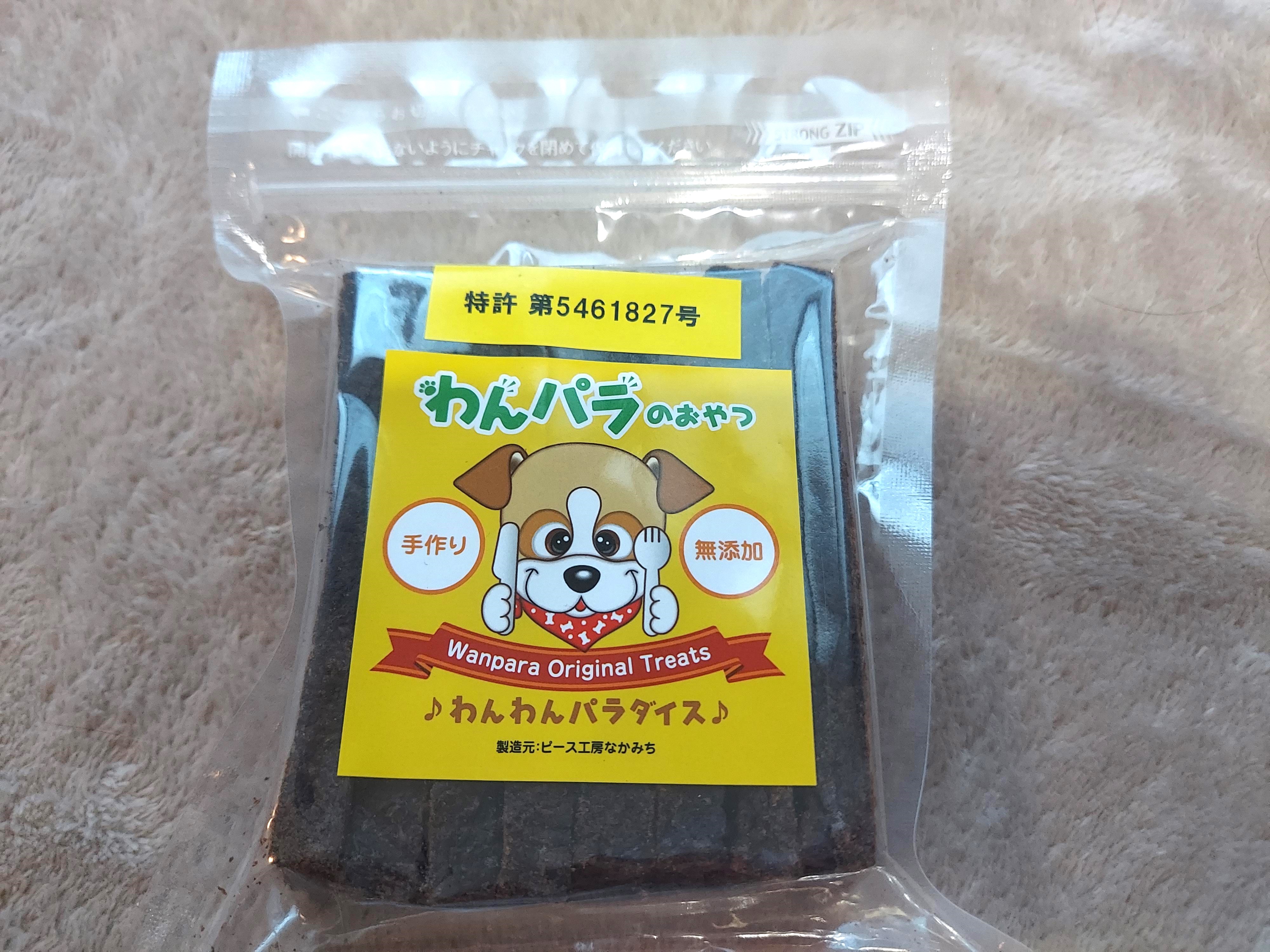 愛犬参加型 おかげ犬体験