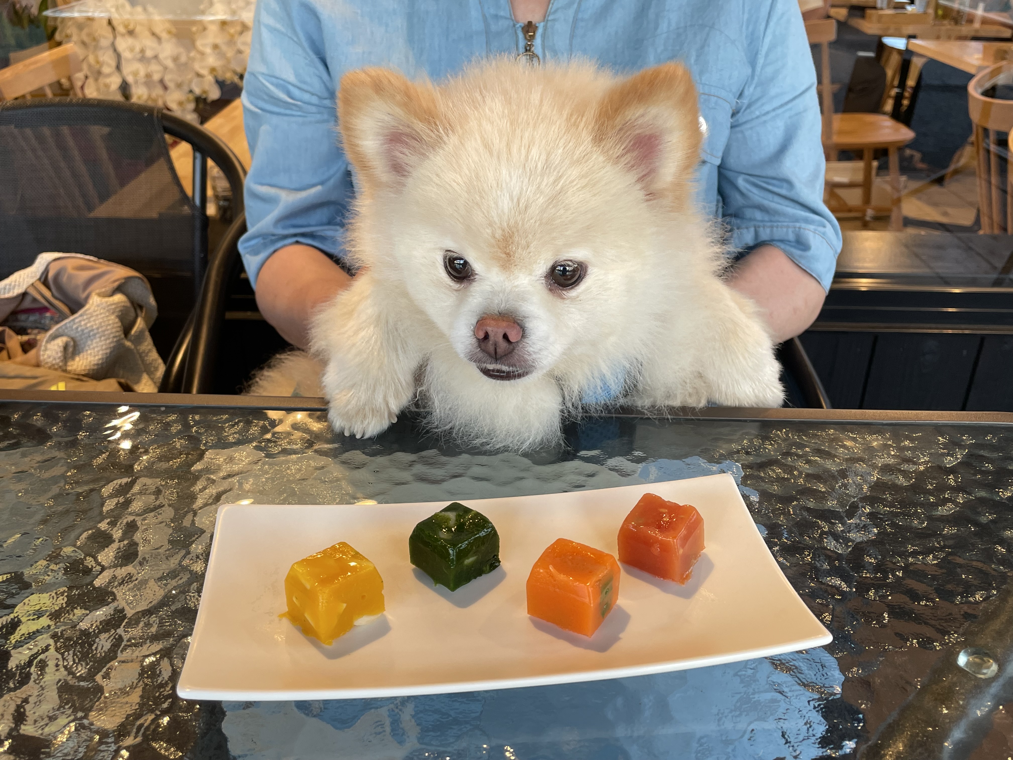 カフェニコラ　明石うみかぜテラス店