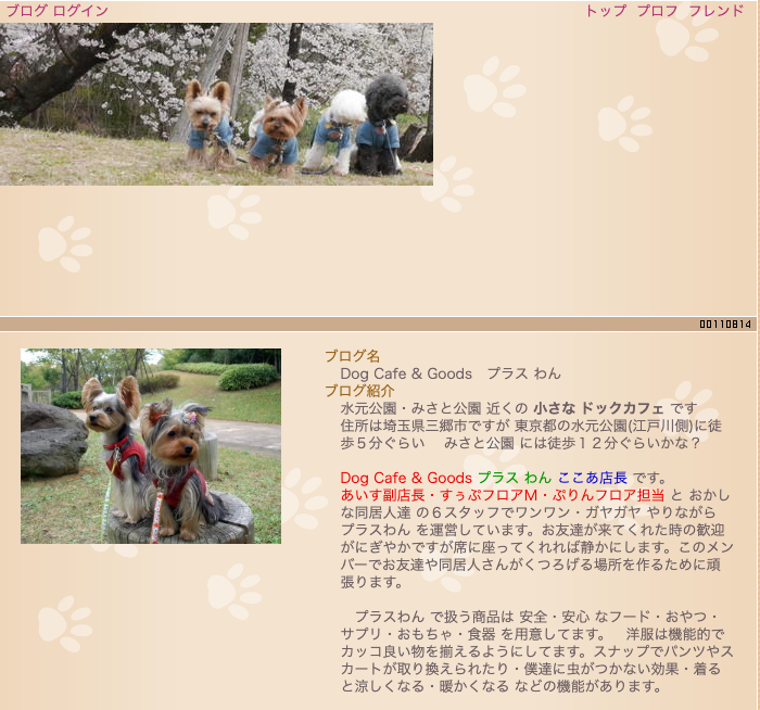 【埼玉県】「犬用メニューもあるカフェまとめ」PartⅥ