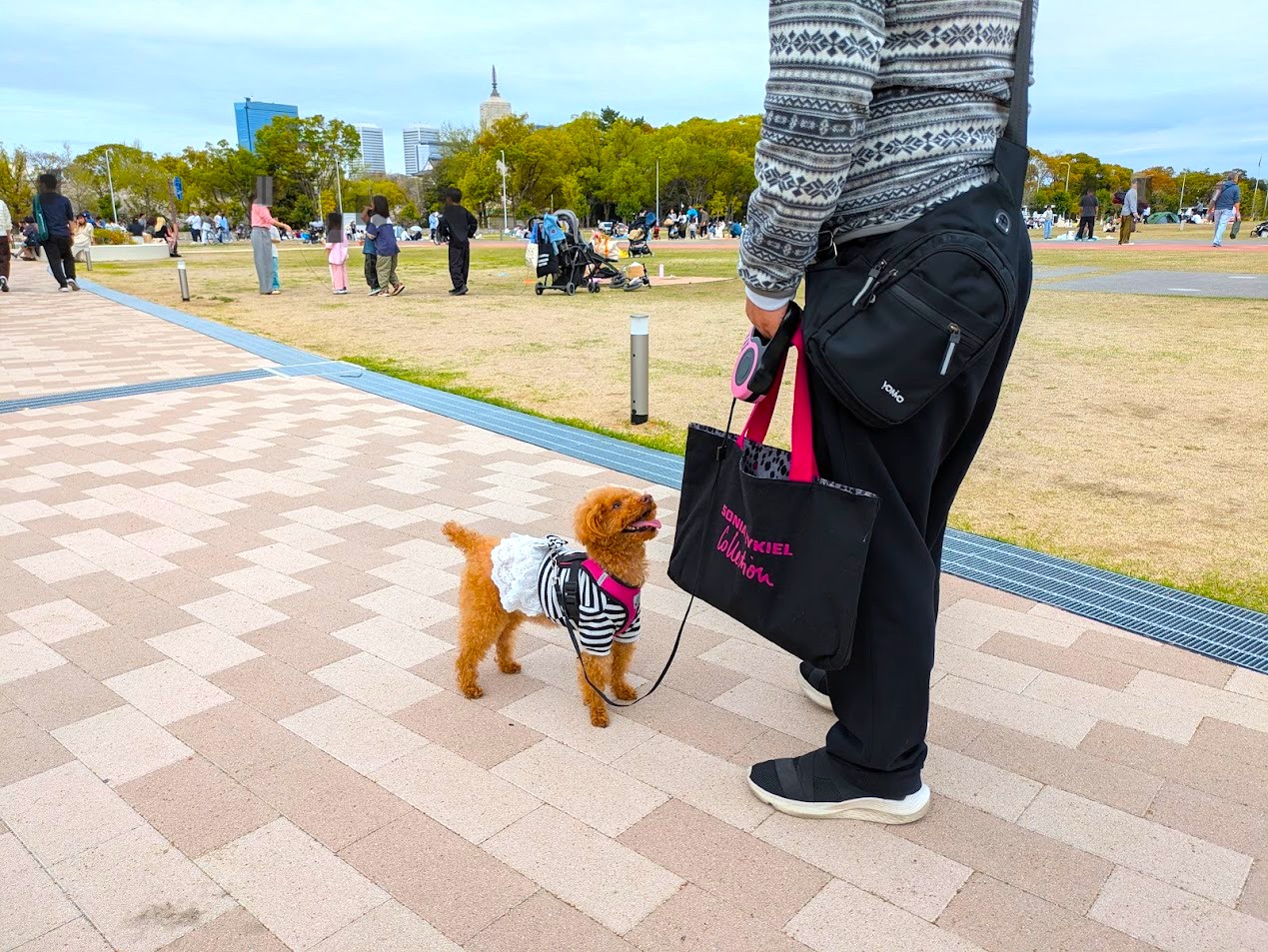 浪華焼肉さぶろう