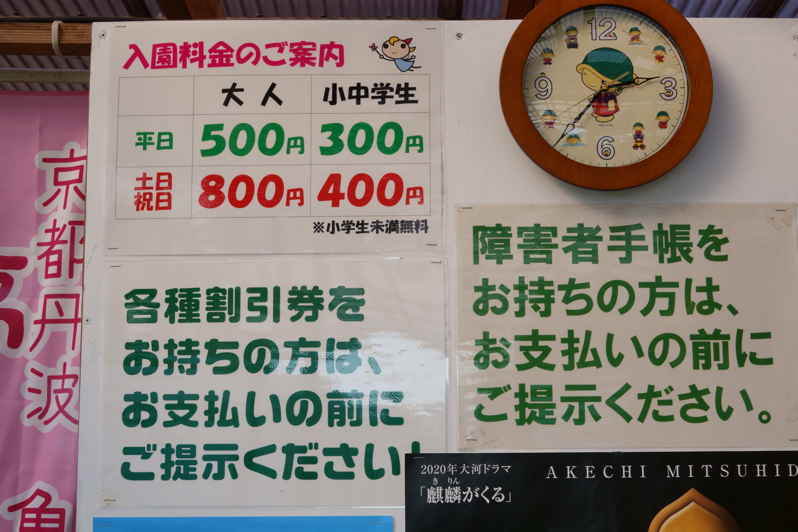 京都丹後/亀岡の夢コスモス園