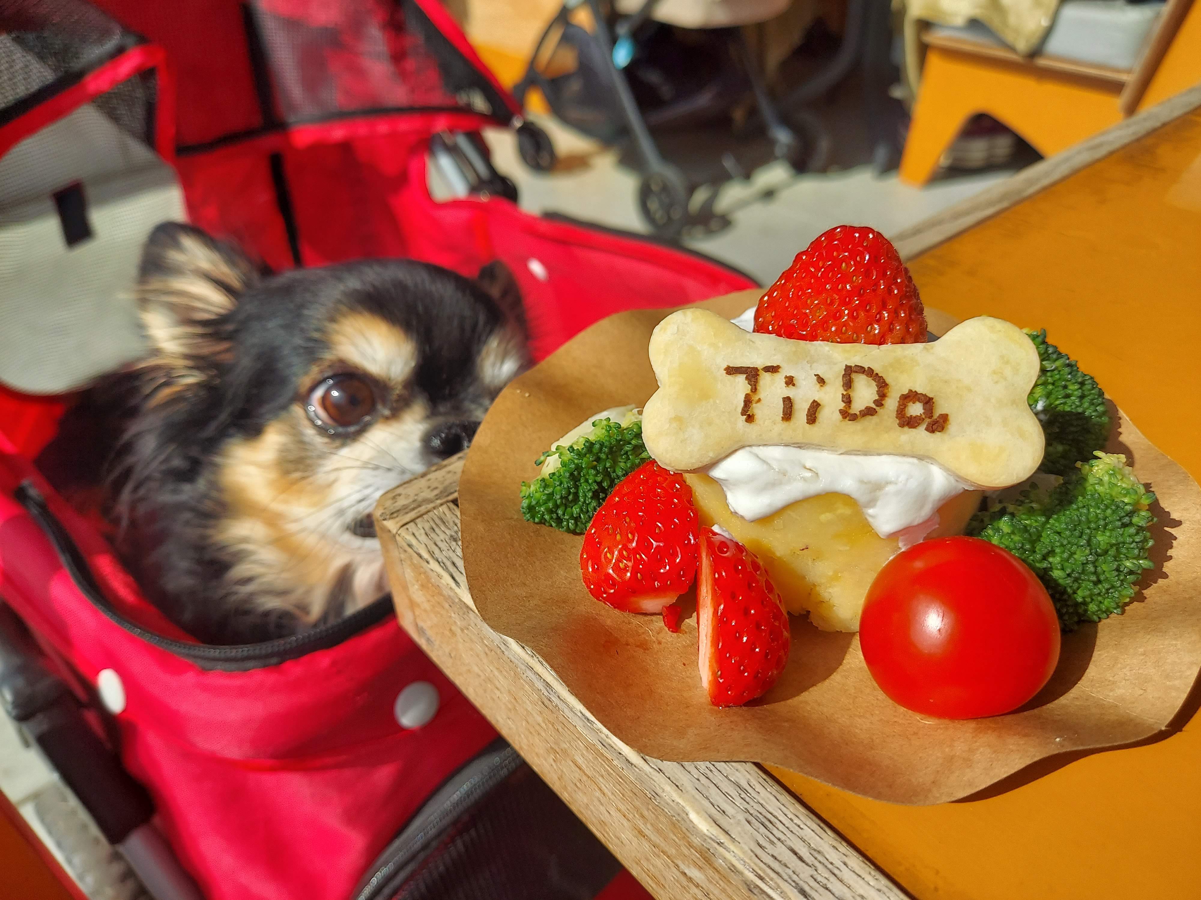 BOTANICAL HOUSE（ボタニカルハウス）