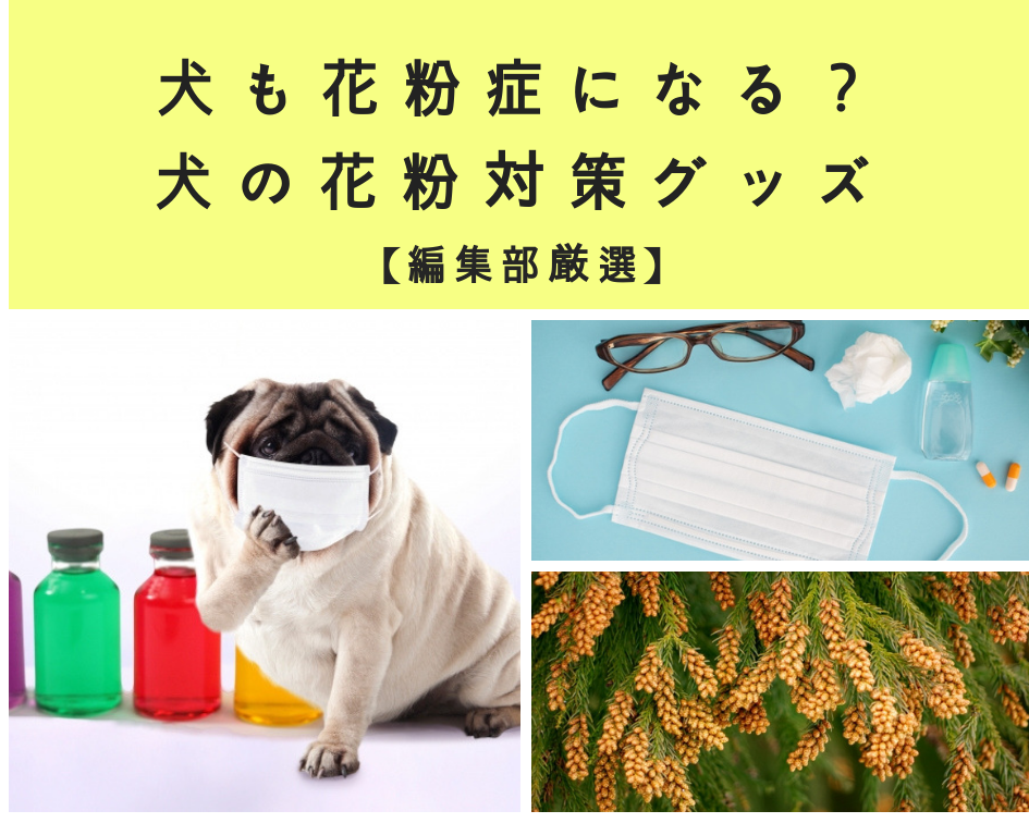 犬の花粉症・対策