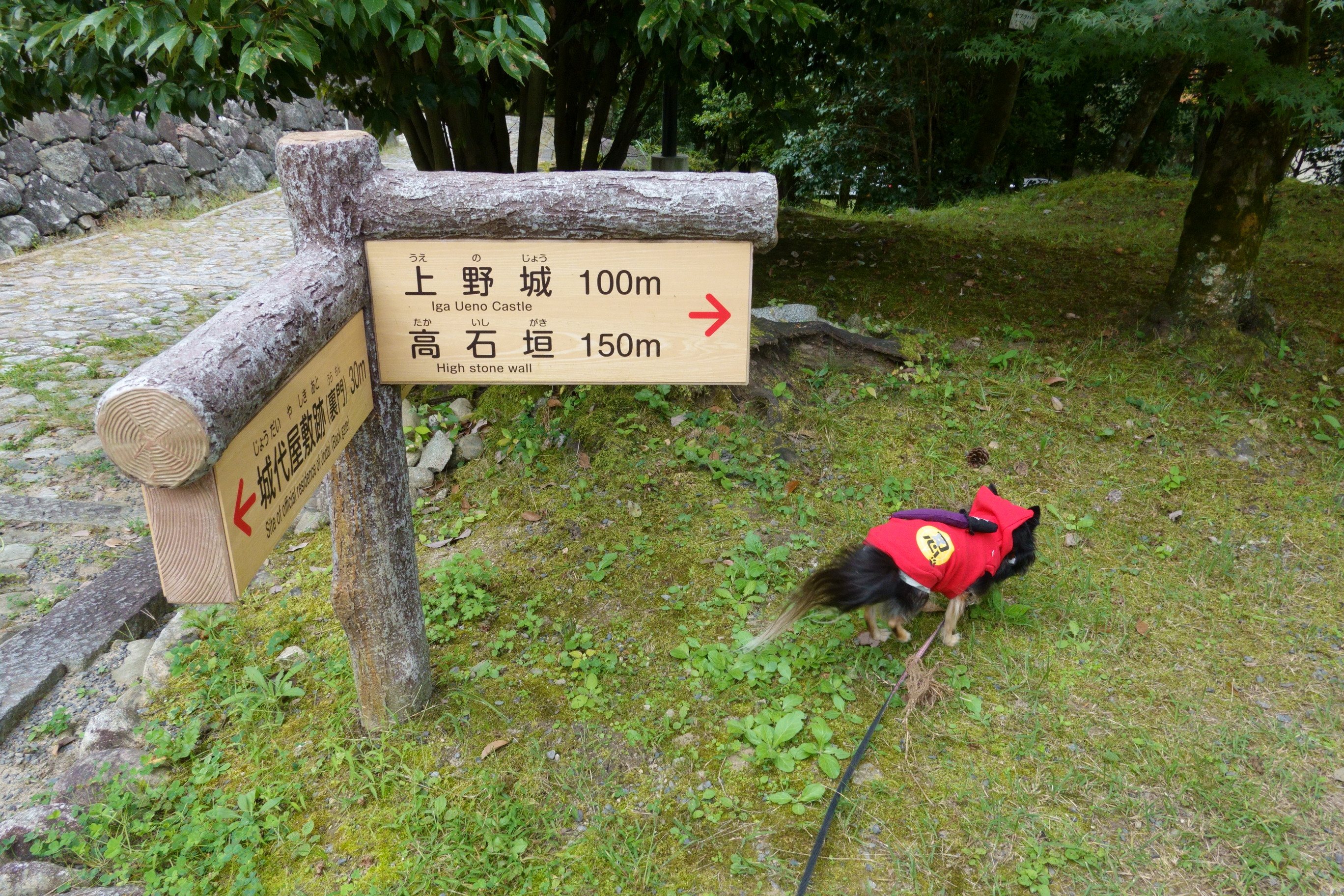 伊賀上野城