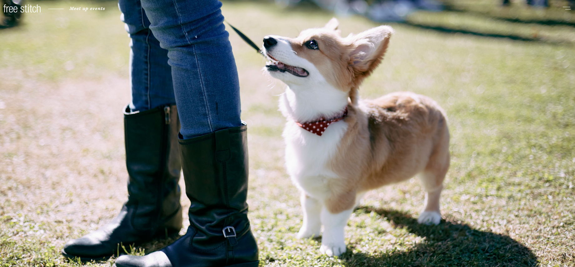 Jack Russell Terrier Festival 2023