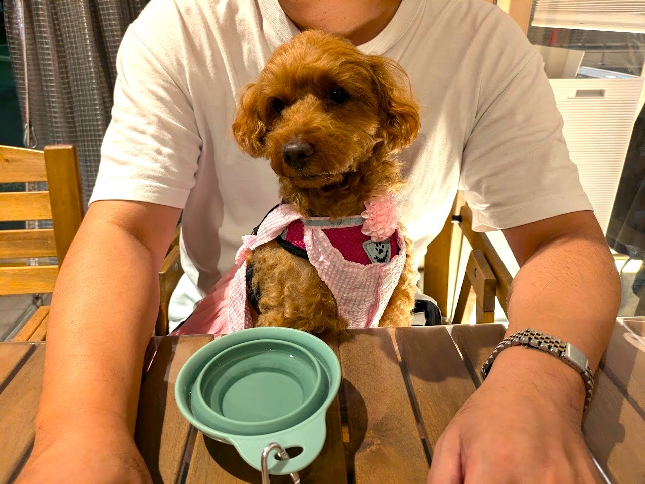 ビストロスリール
