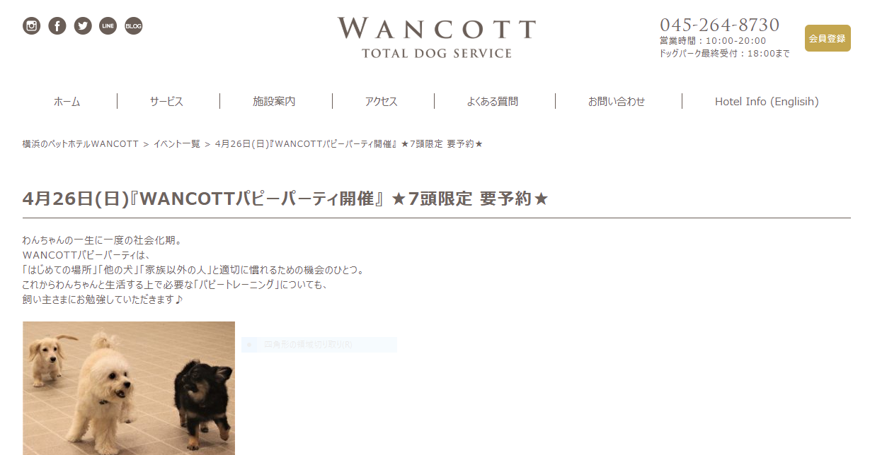 WANCOTTパピーパーティ