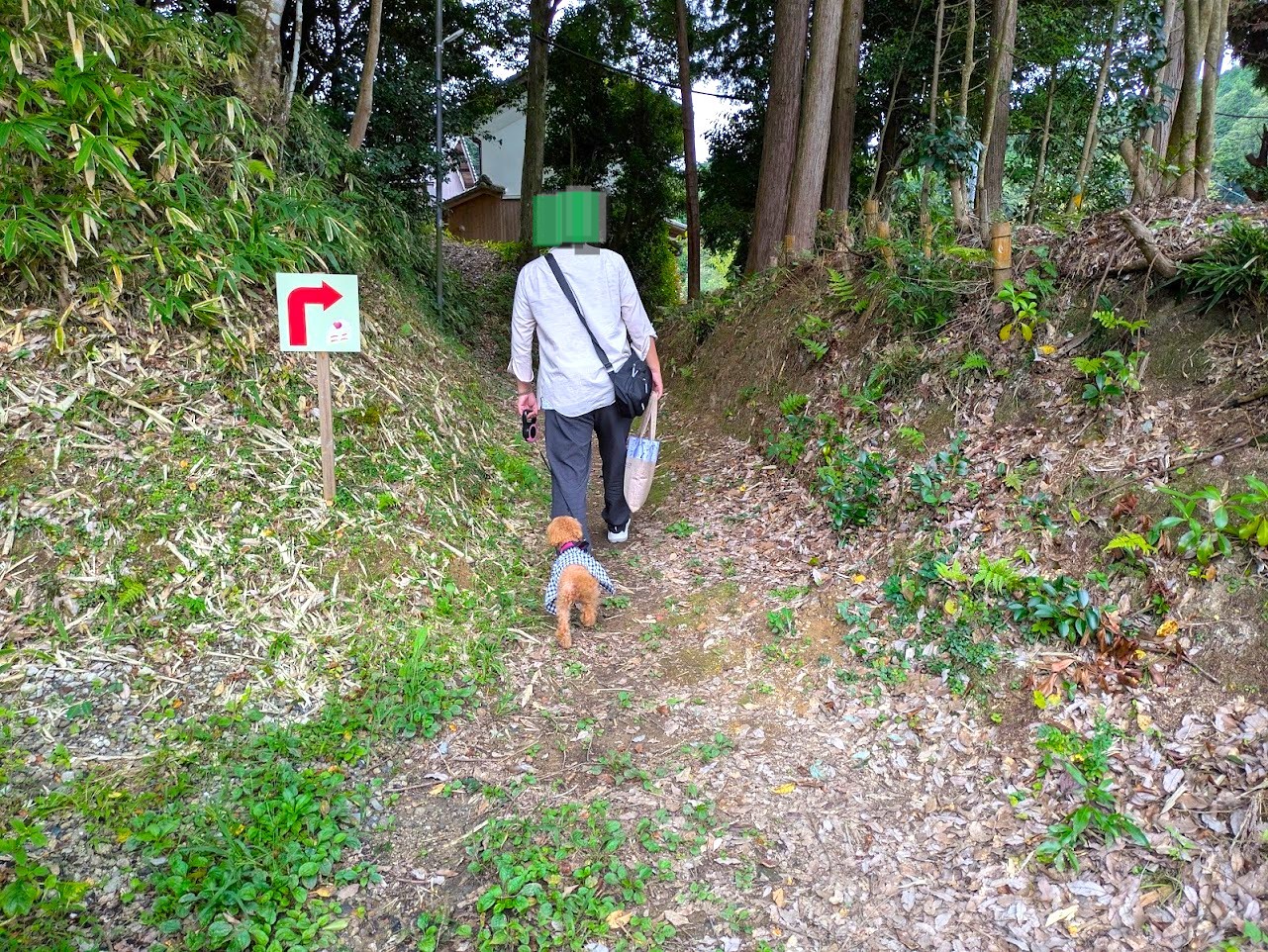やさい菓子工房ココアイ大和高原店