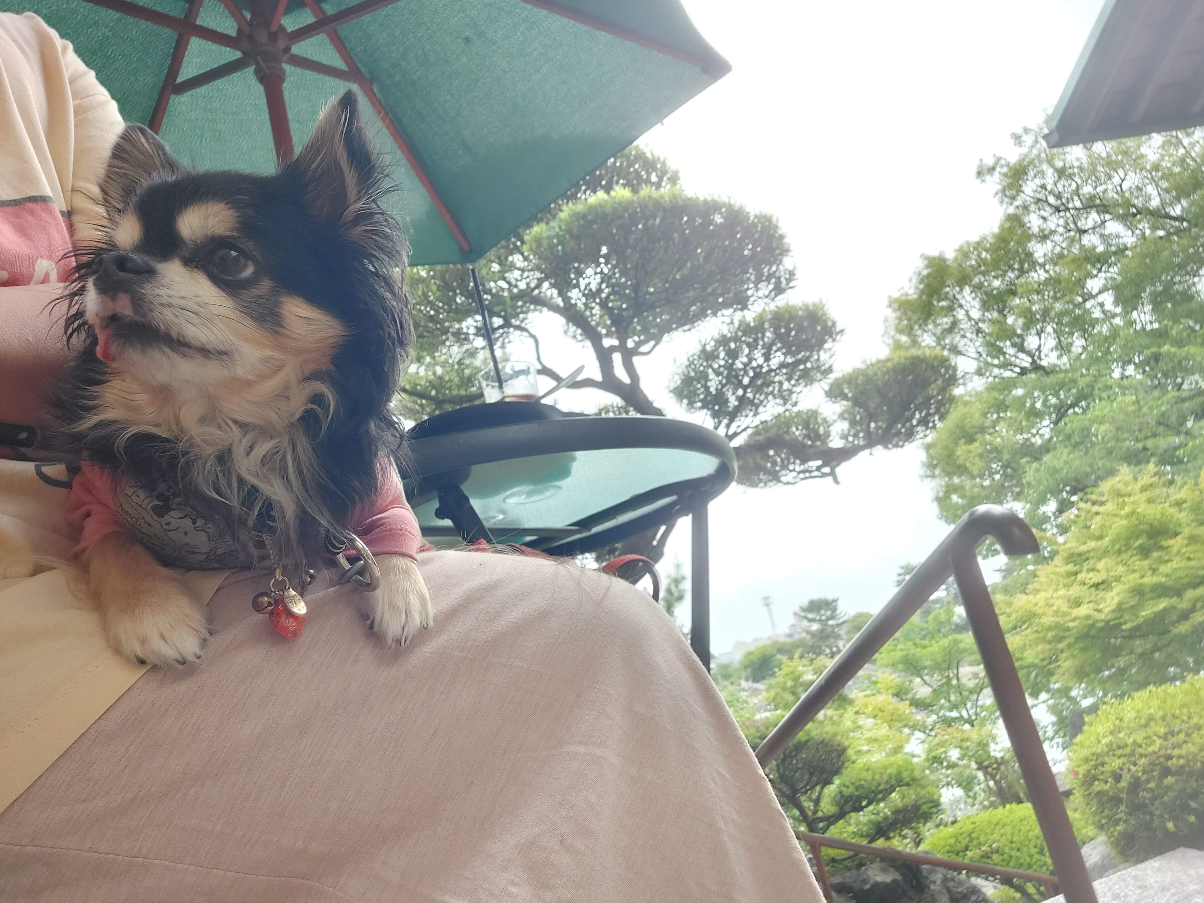 喫茶コンソラ