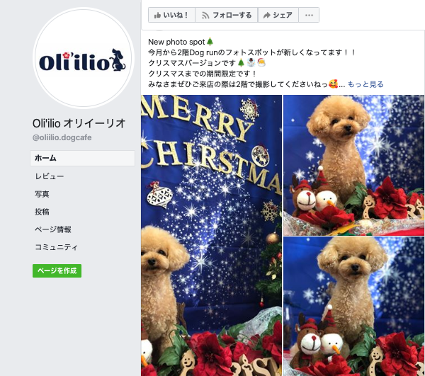 【関東・関西】愛犬とクリスマス気分を満喫できるお店