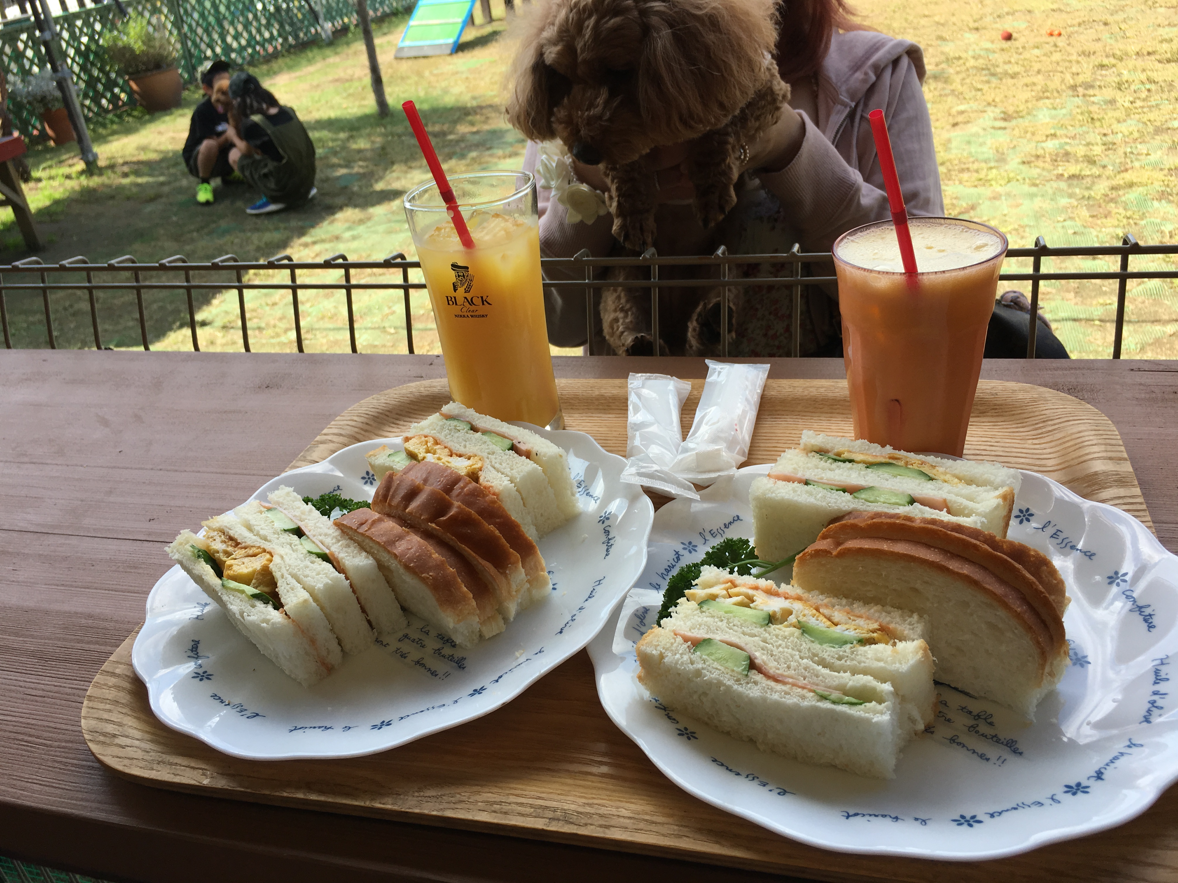 カサデペロ