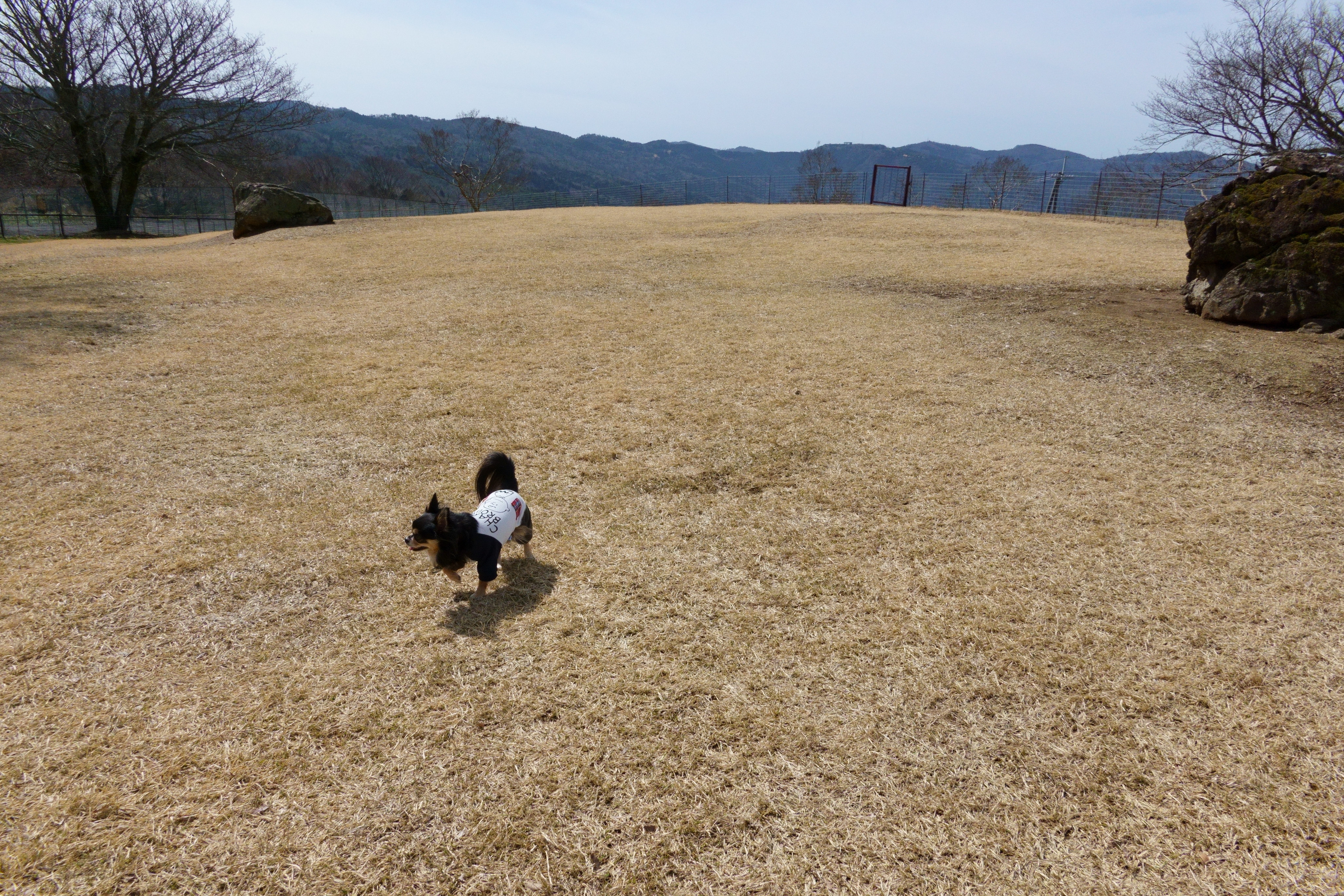 黒沢牧場