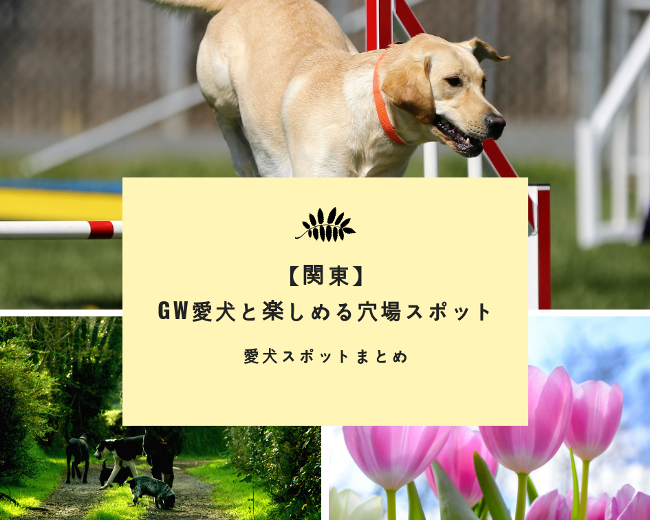 【関東】「GW愛犬と楽しめる穴場スポット」