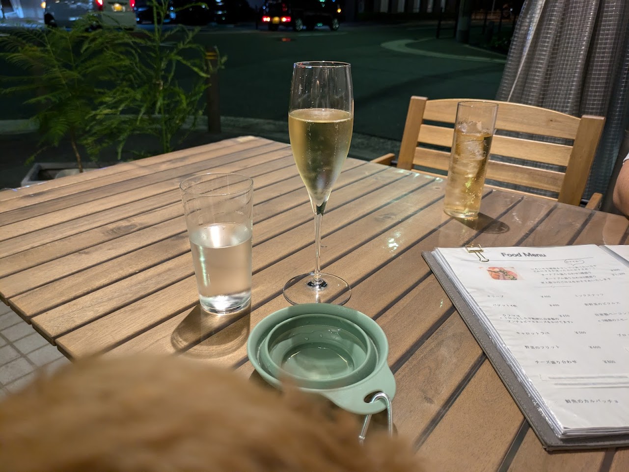ビストロスリール