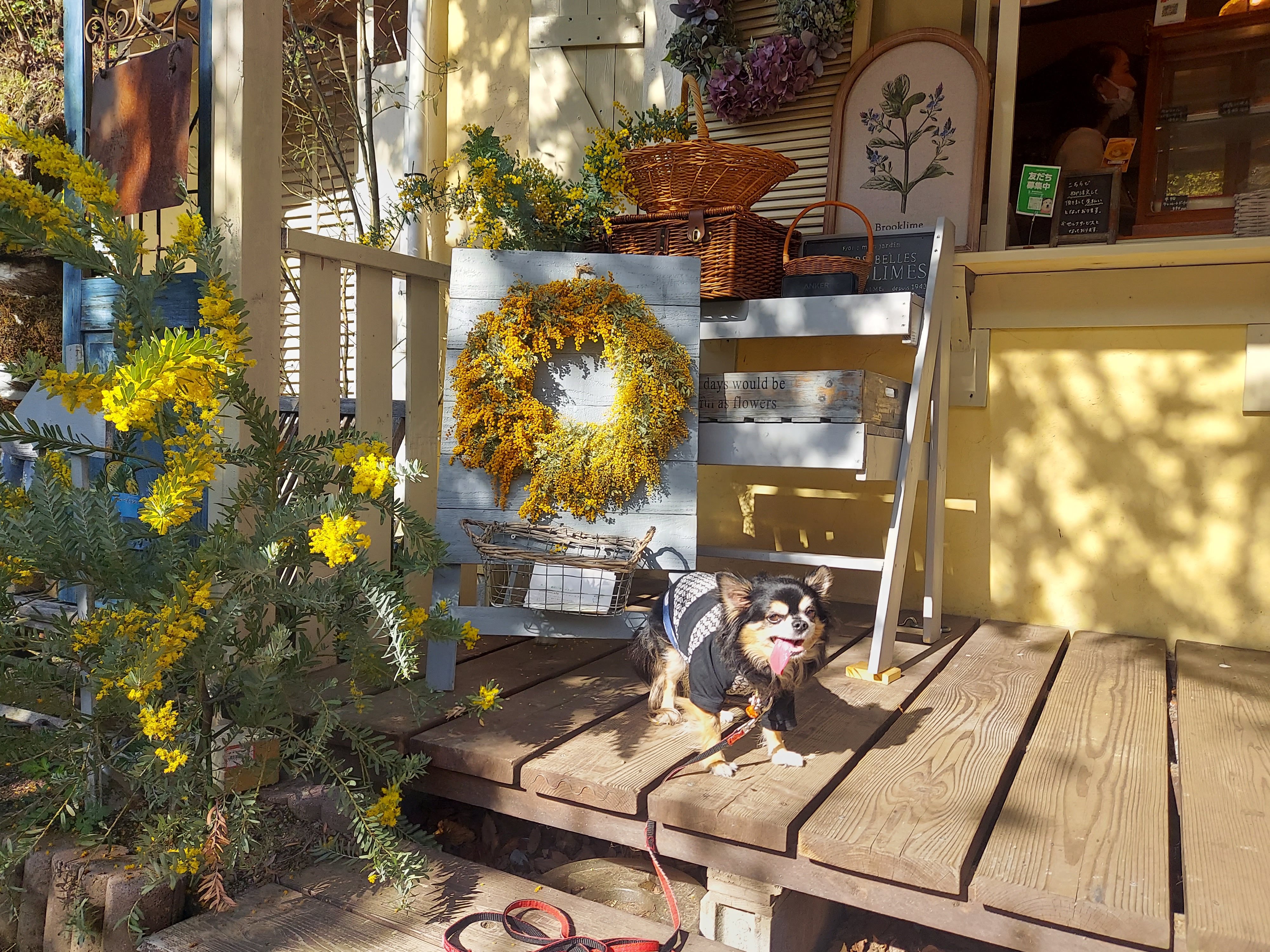 gongoncafe(ごんごんカフェ)