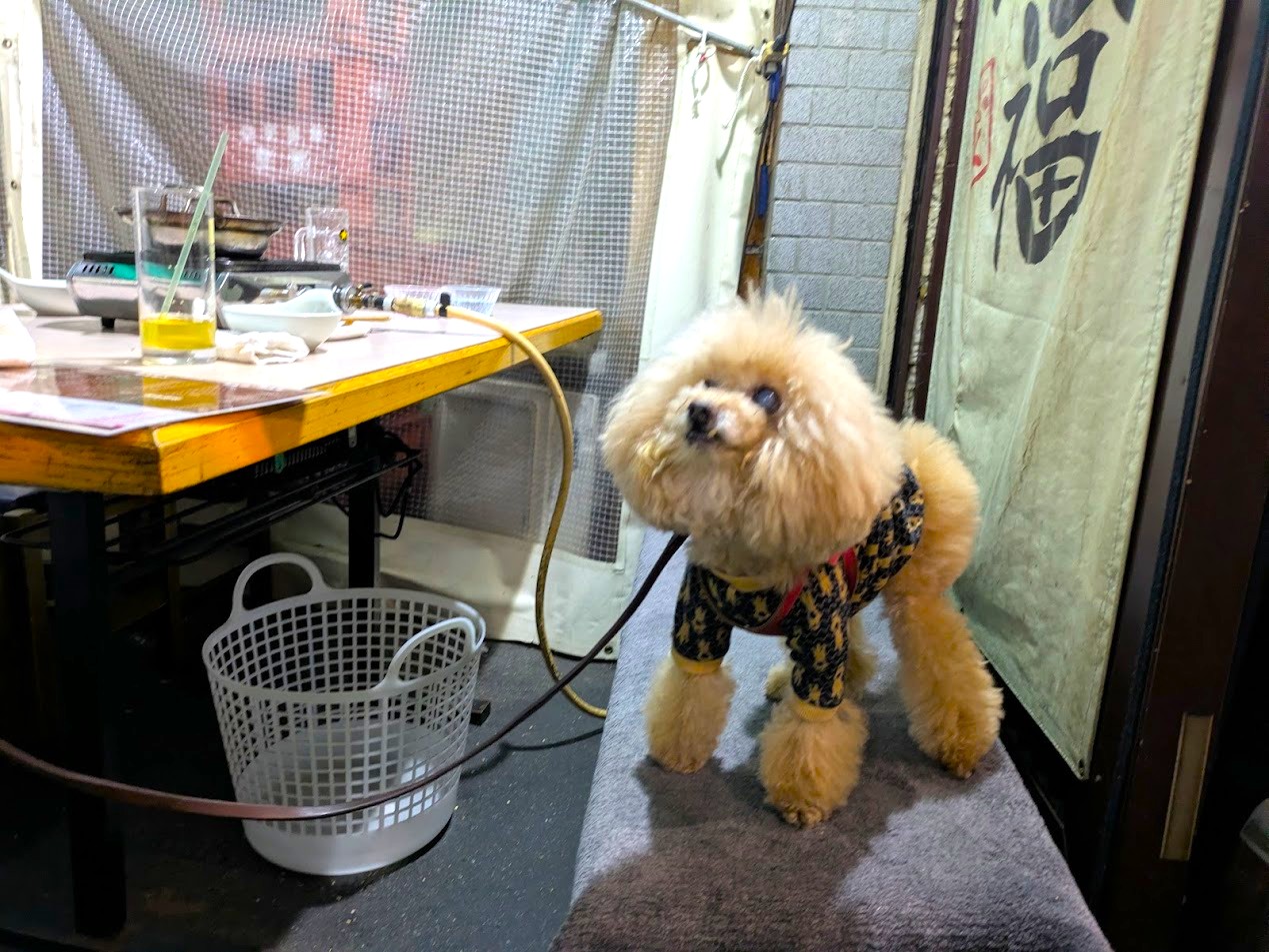 ホルモン福゜福゜