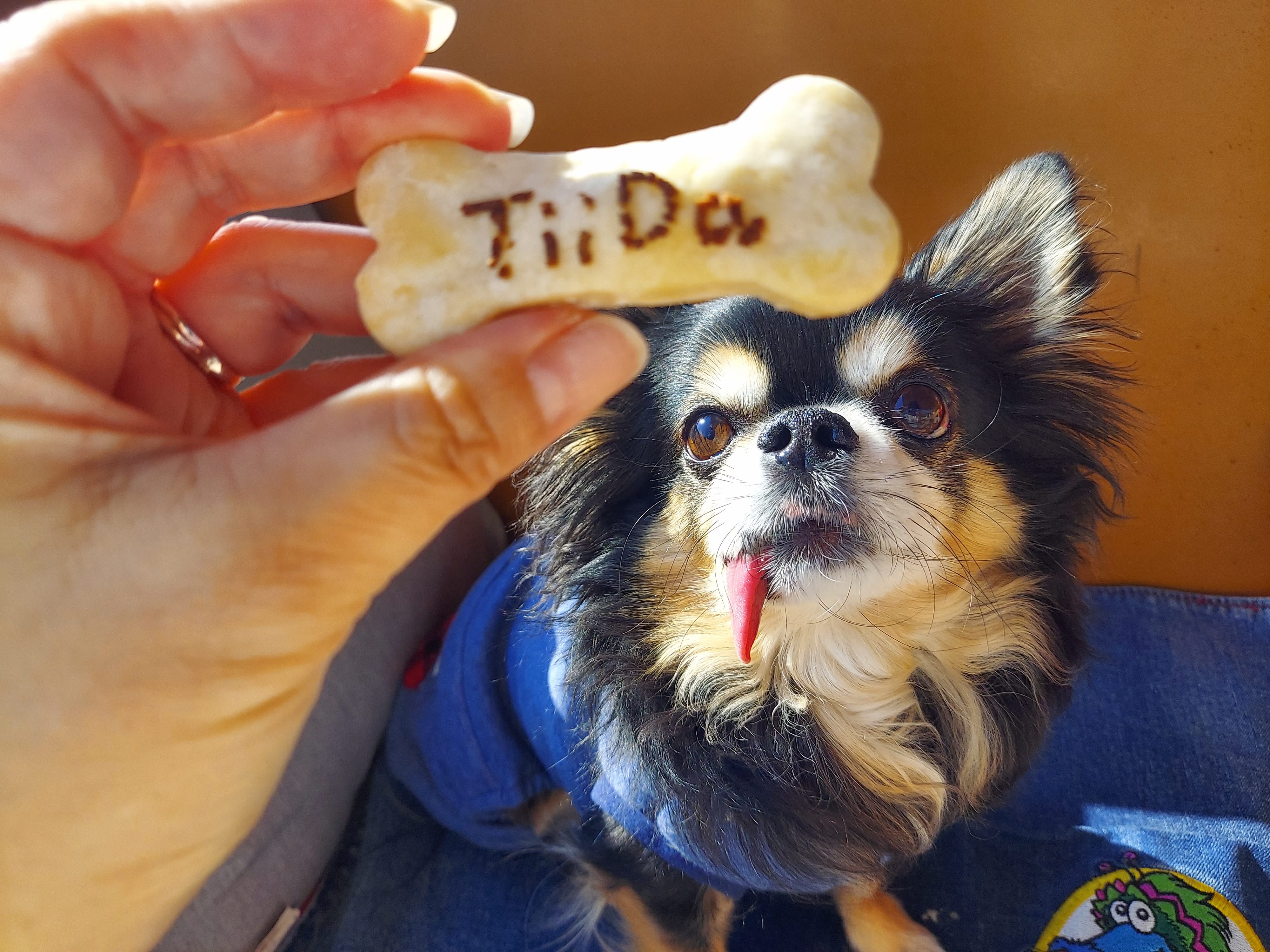 BOTANICAL HOUSE（ボタニカルハウス）