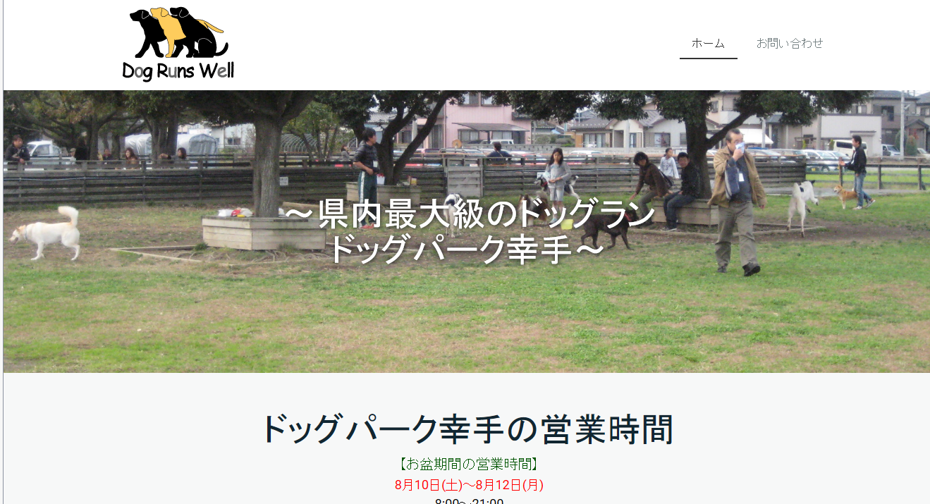 シニア犬集まれ!