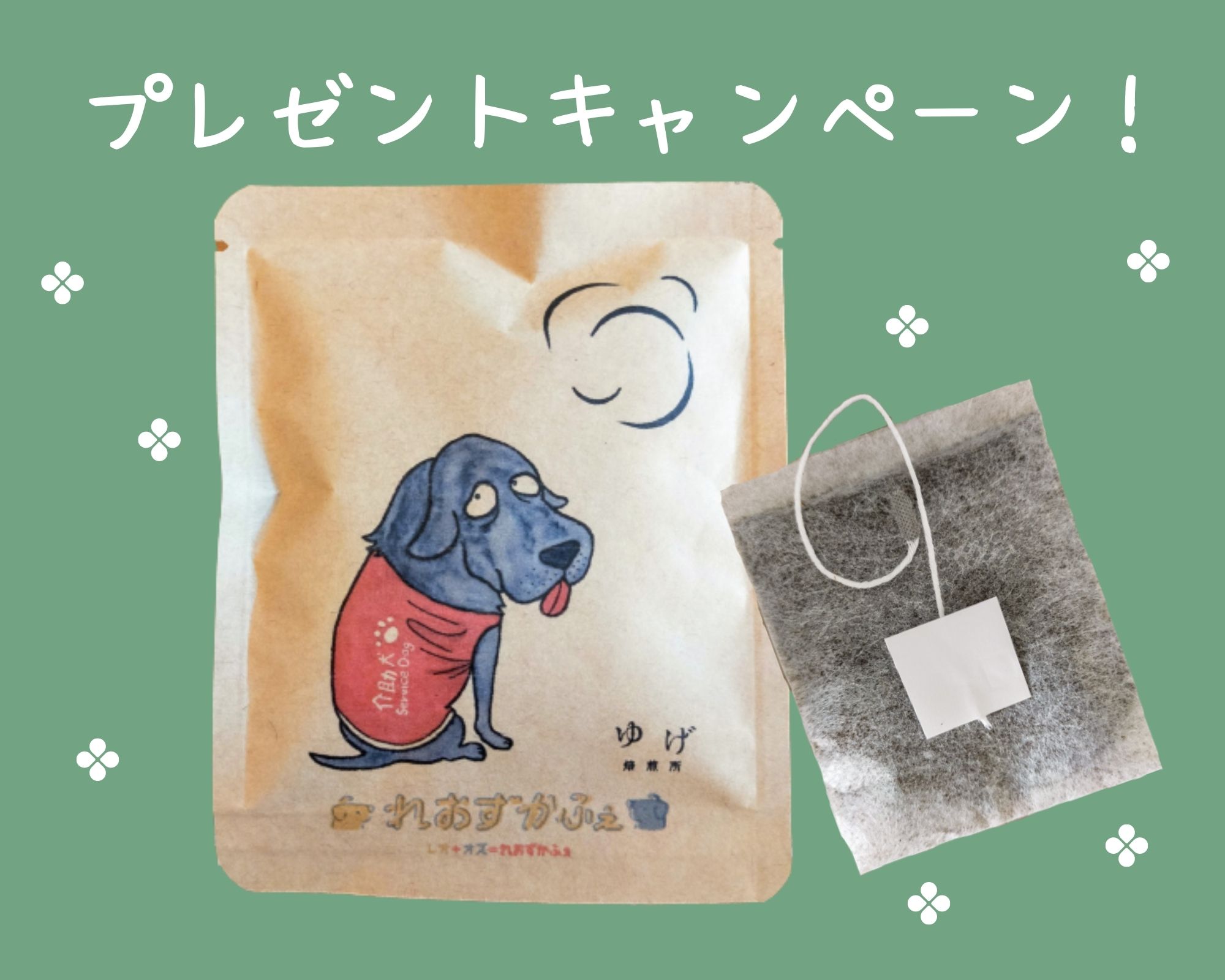 【西宮駅】元介助犬のオズ君がのんびりしていてほっこりできるカフェ「leozcafe　れおずかふぇ」店内ペット同伴可【兵庫県・西宮市】