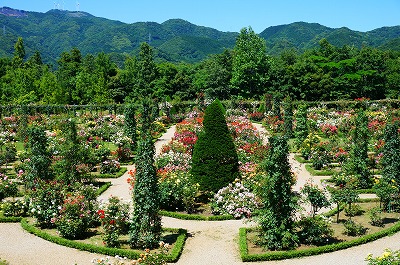 河津バガテル公園