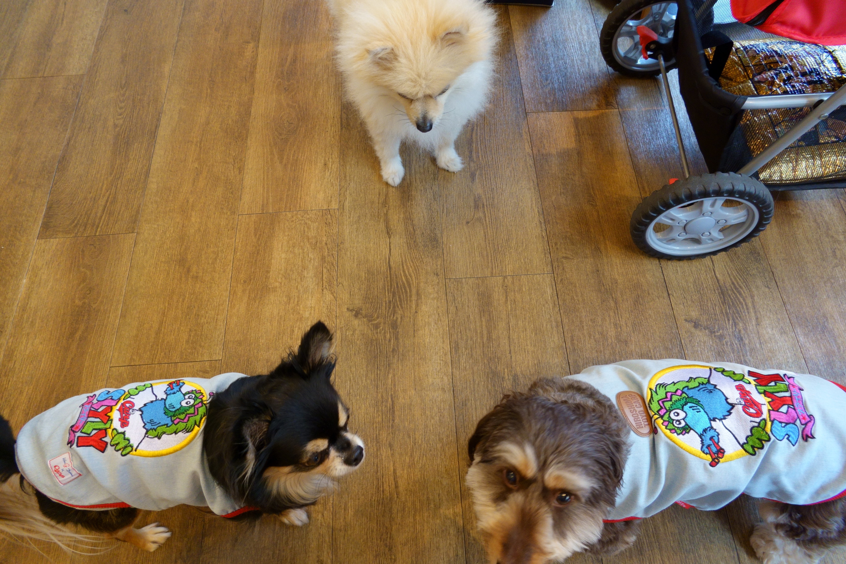 DogCafe ALAN(ドッグカフェ アラン)