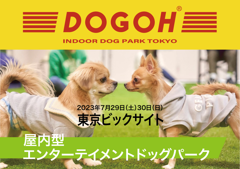 DOGOH INDOOR DOG PARK TOKYO