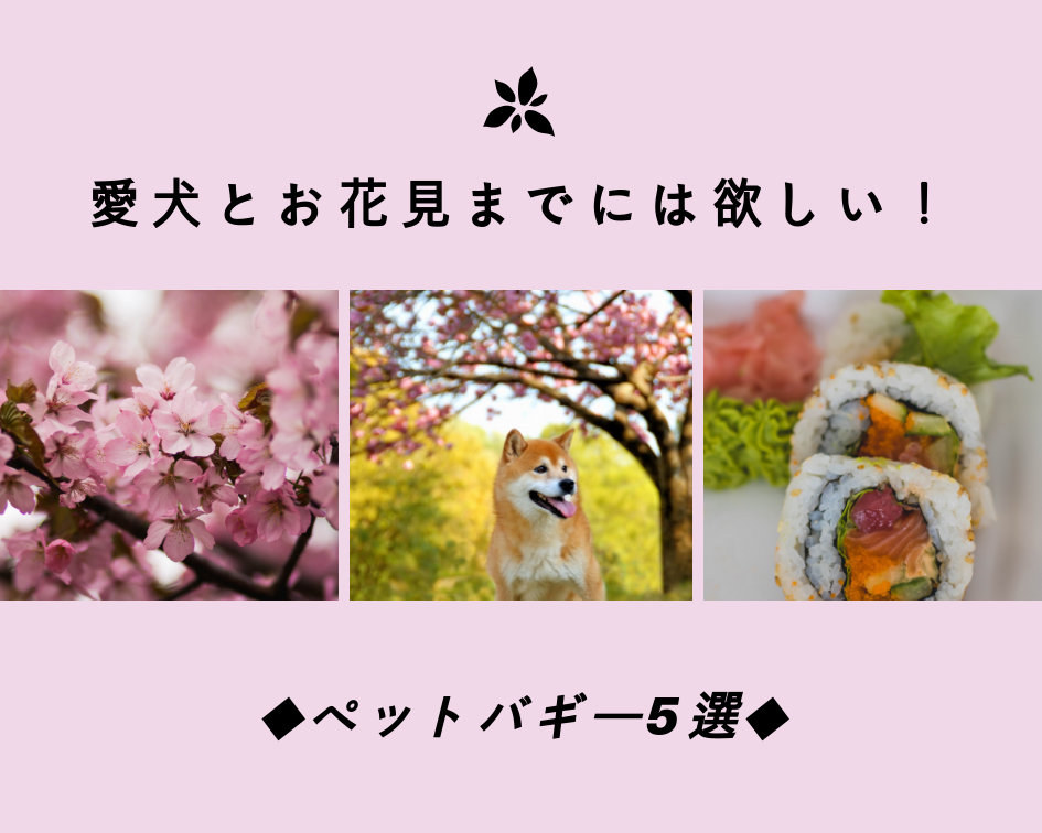 愛犬とお花見までには欲しい！ペットバギー5選！